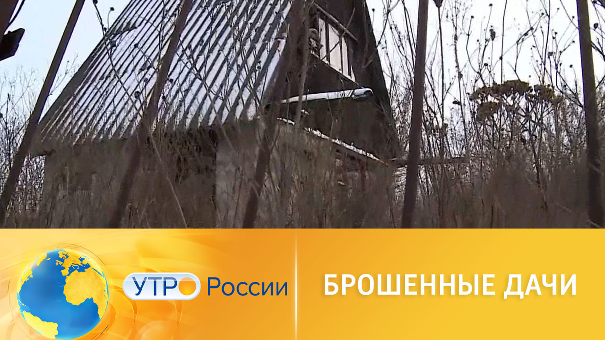 Брошенные дачи: с какими проблемами сталкиваются соседи