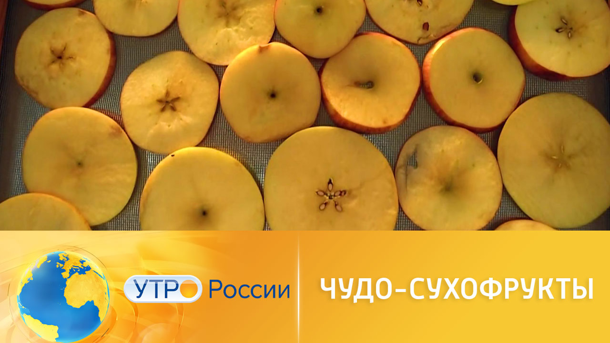 Сохранить полезные свойства сухофруктов помогут разработки инженеров