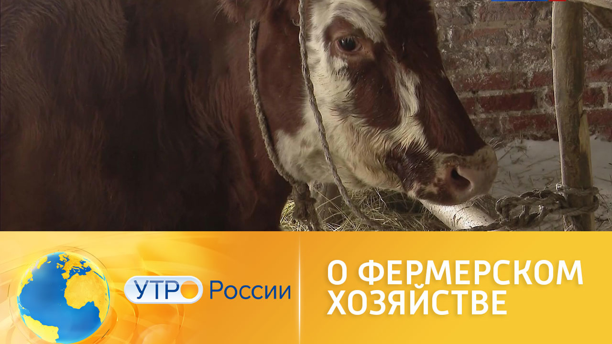Минсельхоз предлагает внести изменения в закон "О крестьянском (фермерском) хозяйстве"
