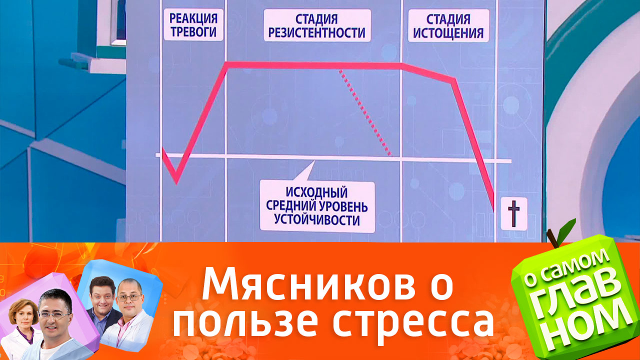 Доктор Мясников рассказал о "полезном" стрессе