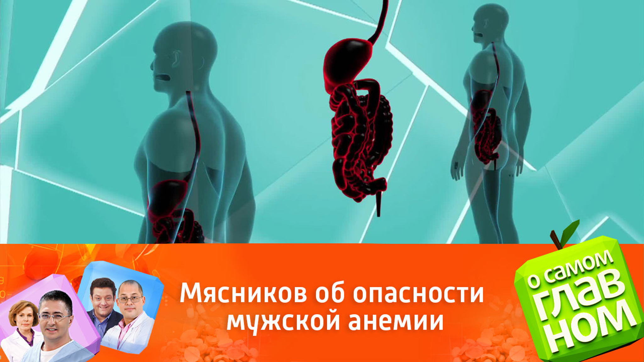 Мясников рассказал, чем опасна анемия у мужчин