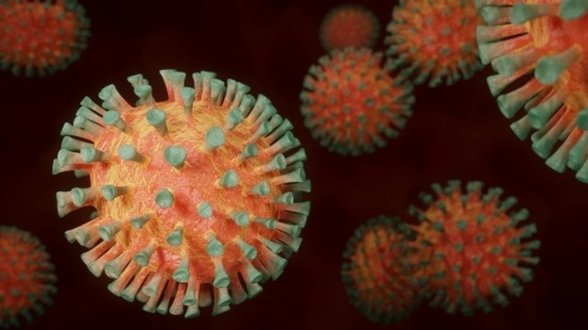 Подмосковье не планирует снимать ограничения по коронавирусу