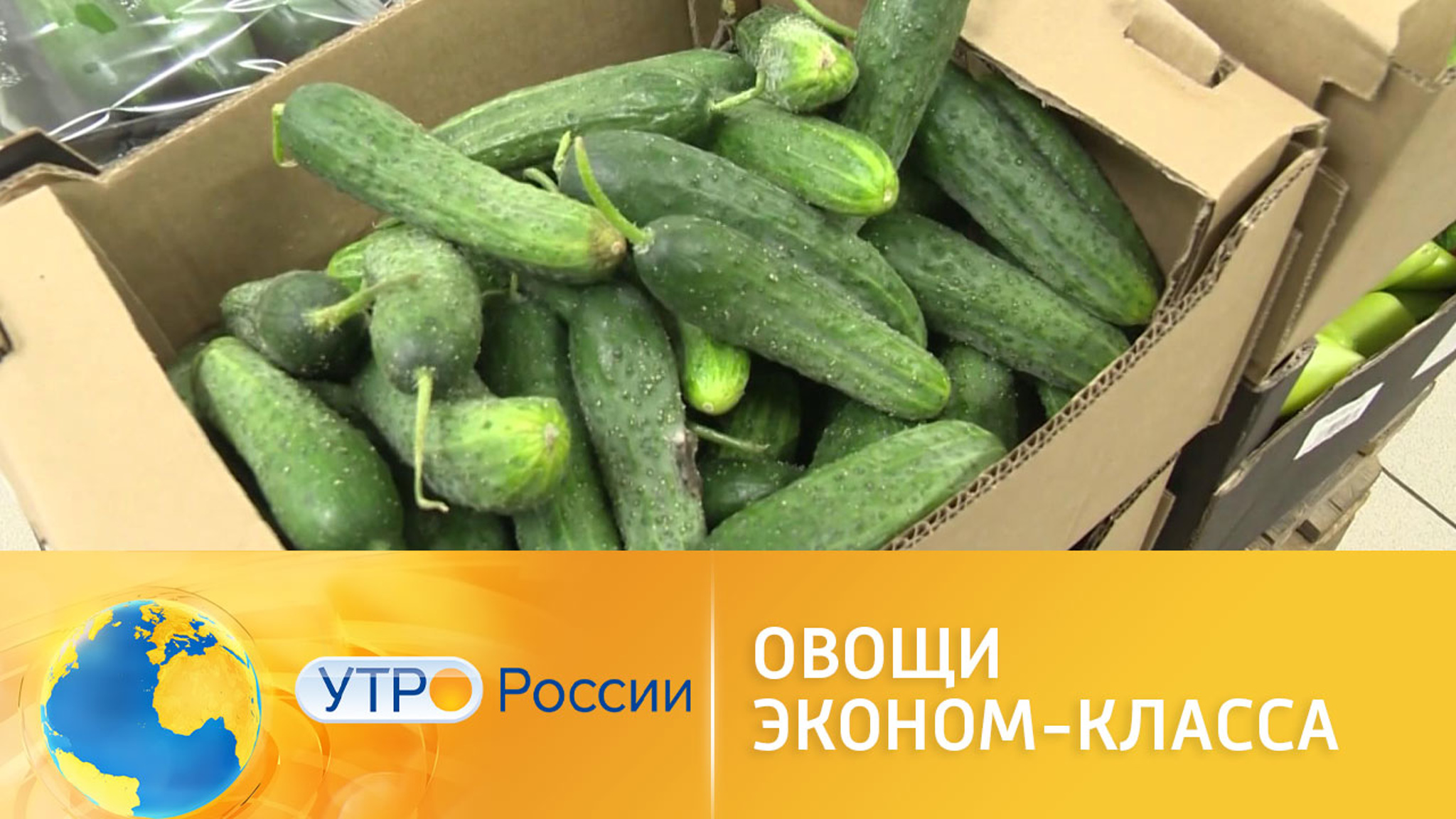Овощи нестандартных размеров и форм могут вернуться на прилавки