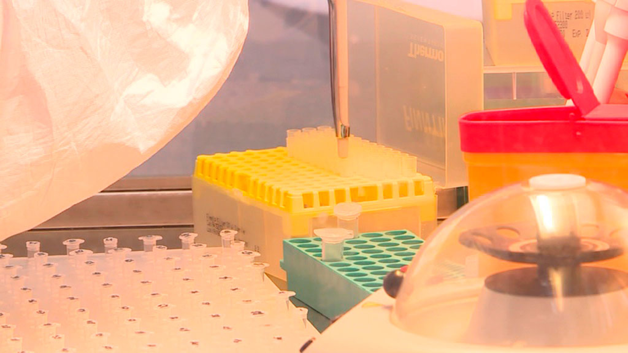 "Спутник V": западные СМИ перешли от критики к восторгу