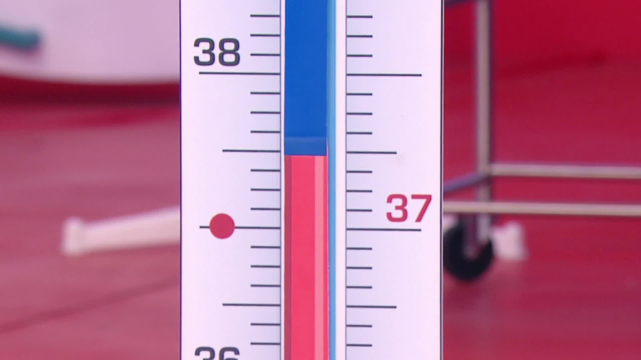 "37,5 – это норма": Мясников рассказал всю правду о температуре тела