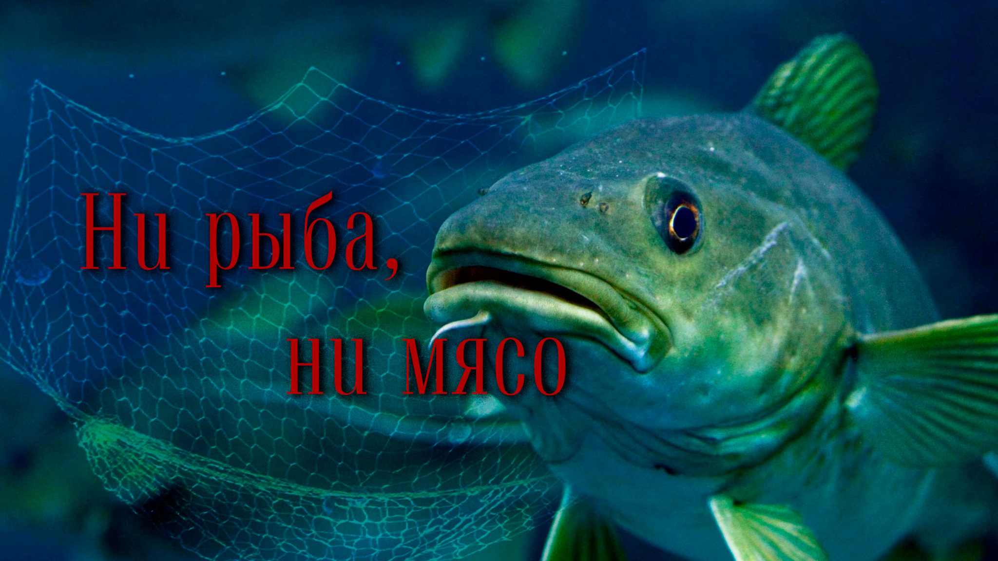 Ни рыба, ни мясо