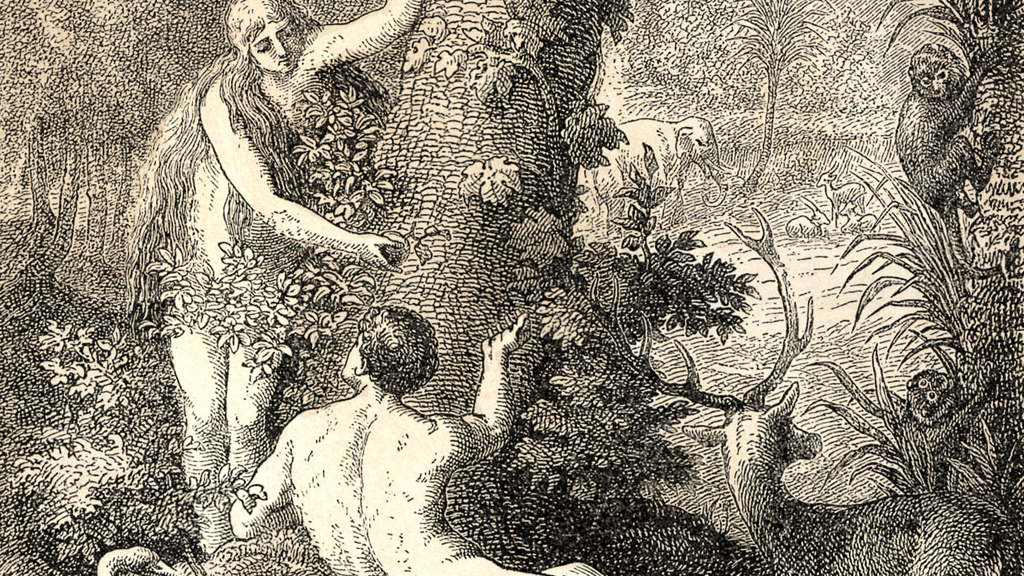 Впервые в России театр "Геликон-опера" представляет оперу на иврите