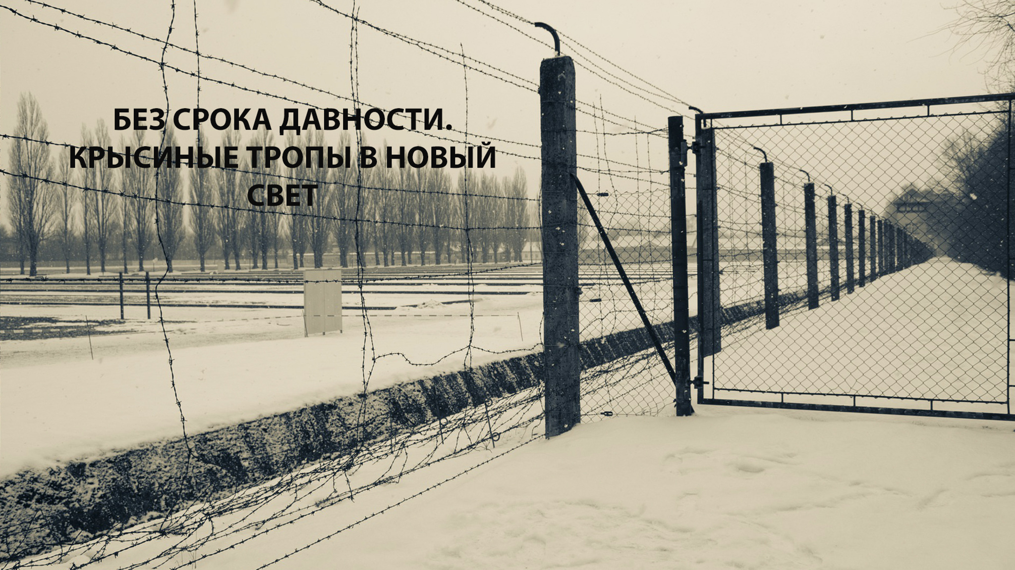 Без срока давности. Крысиные тропы в Новый Свет
