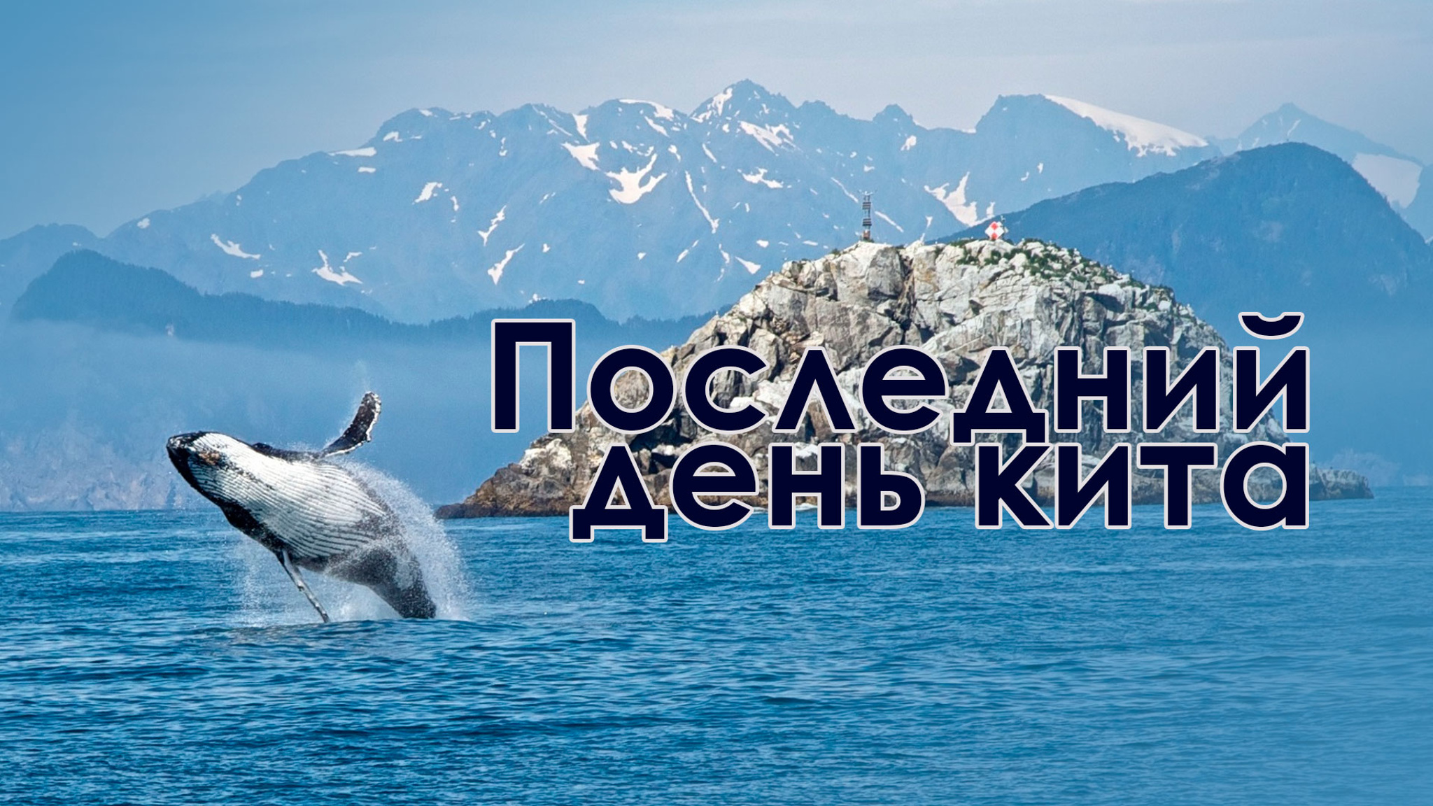 Последний день кита