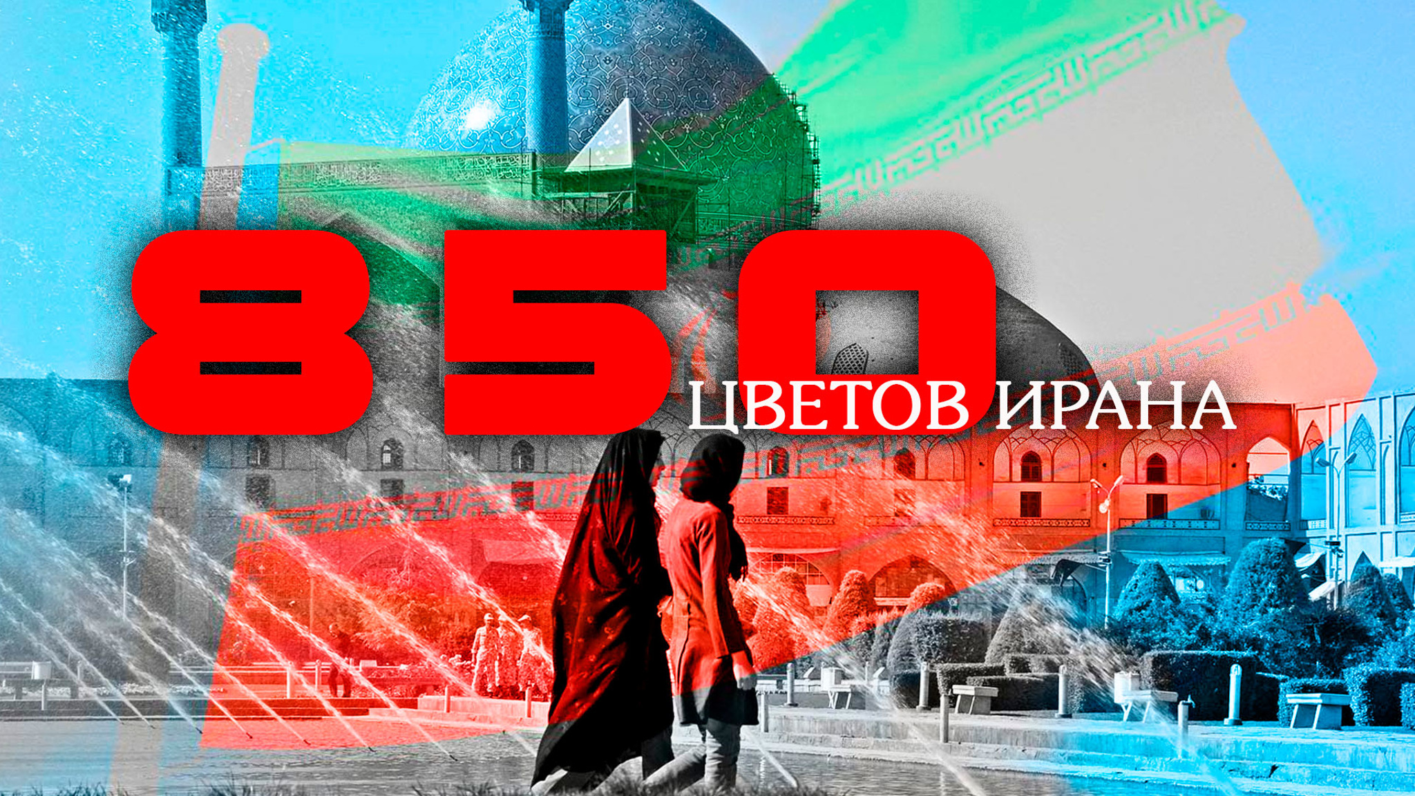 850 цветов Ирана