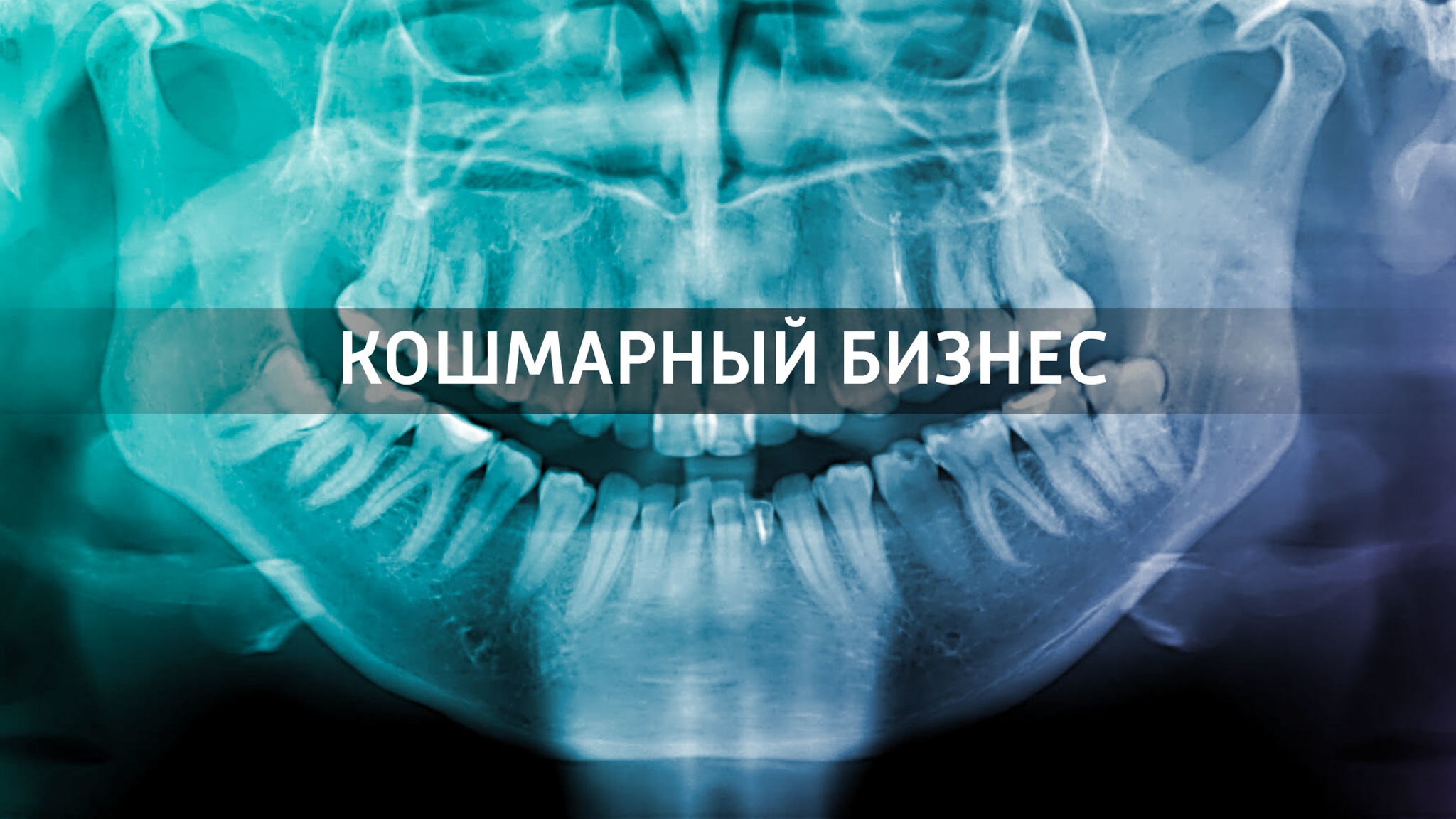 Кошмарный бизнес