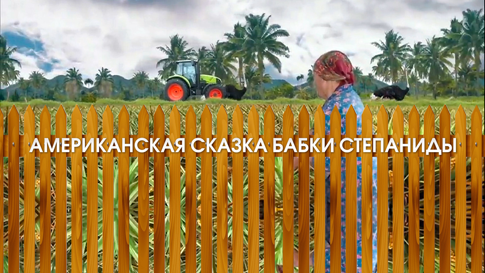 Американская сказка бабки Степаниды