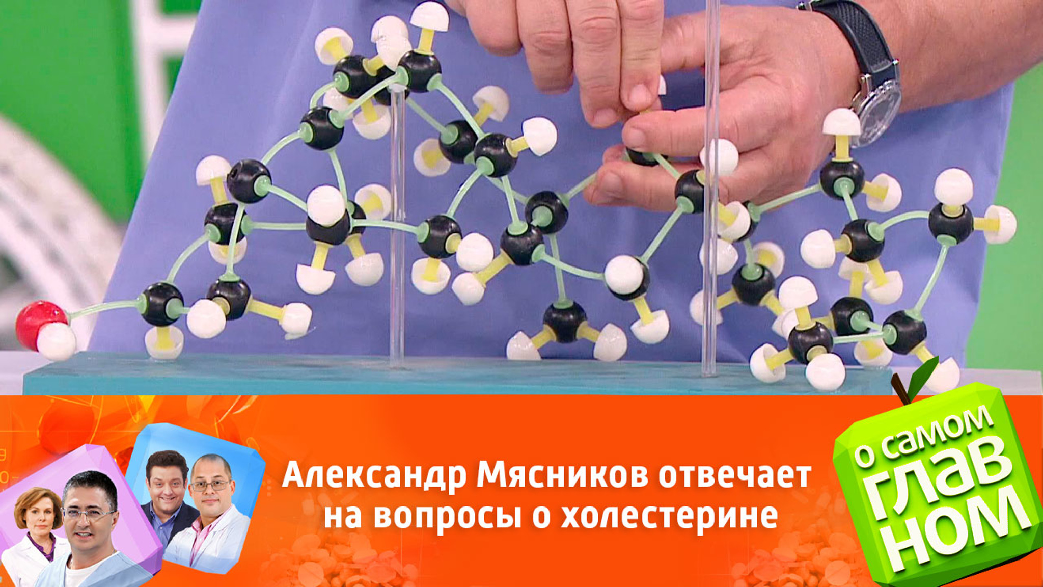 Александр Мясников отвечает на вопросы о холестерине