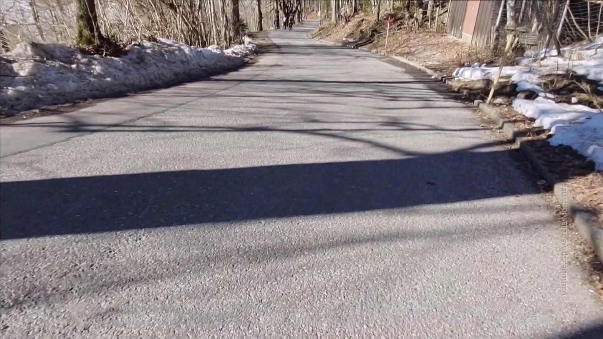 В Москву пришло экстремальное потепление