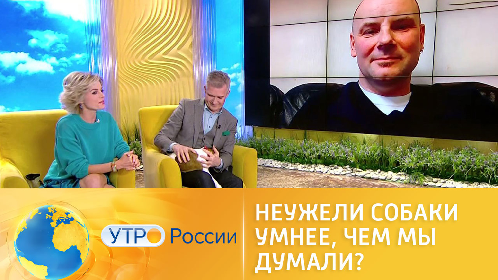 Неужели собаки умнее, чем мы думали?