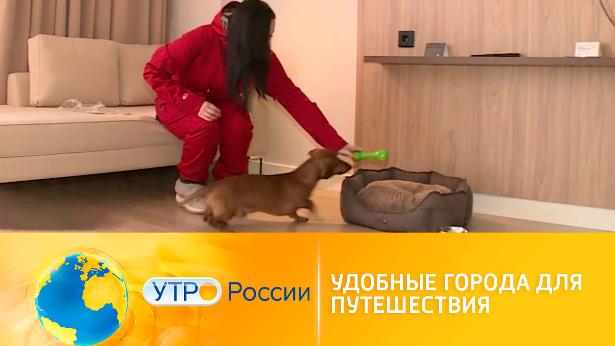 Российские курорты предлагают отдых в стиле pet-friendly