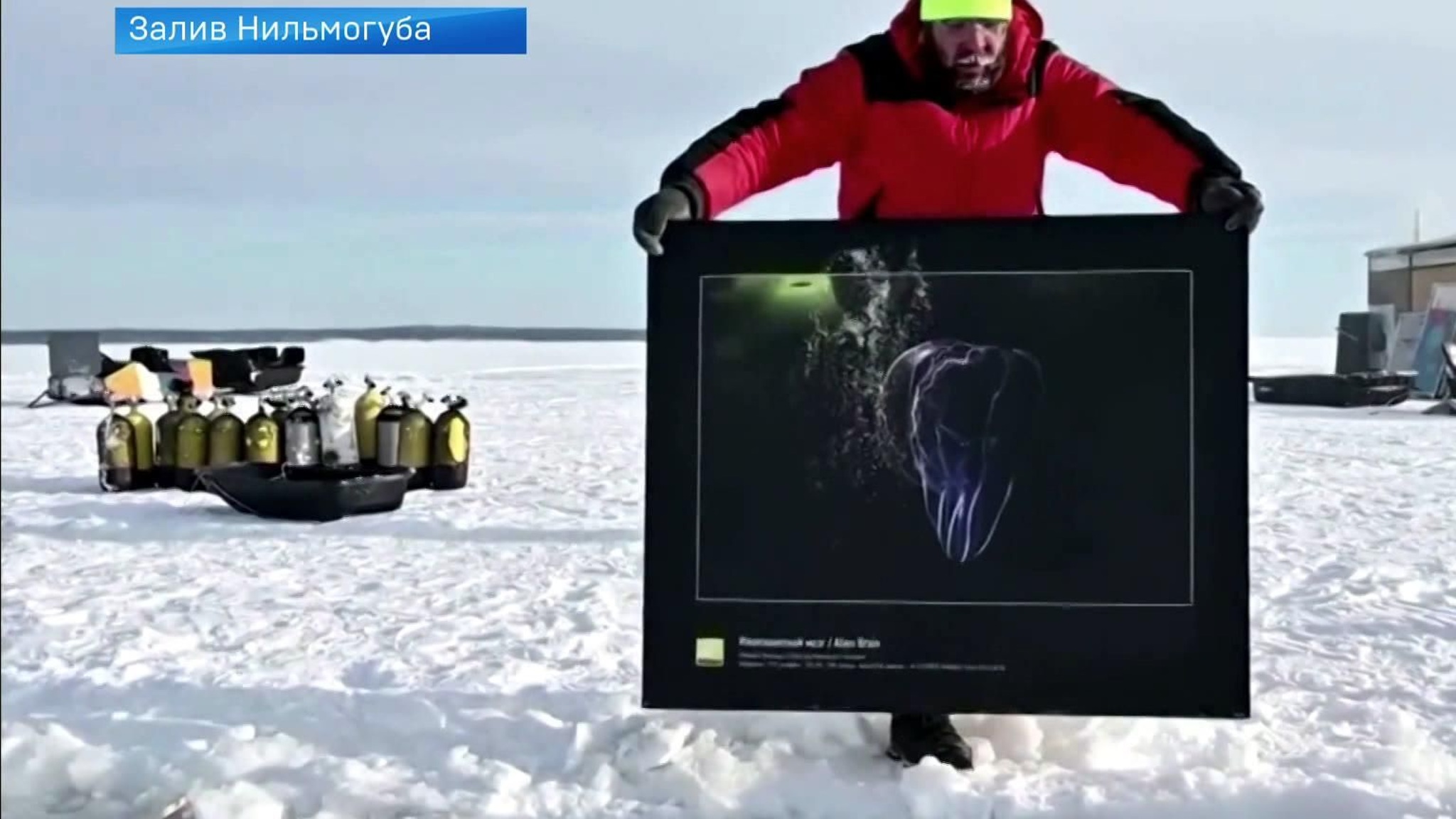 Фотограф Виктор Лягушкин устроил выставку на дне Белого моря