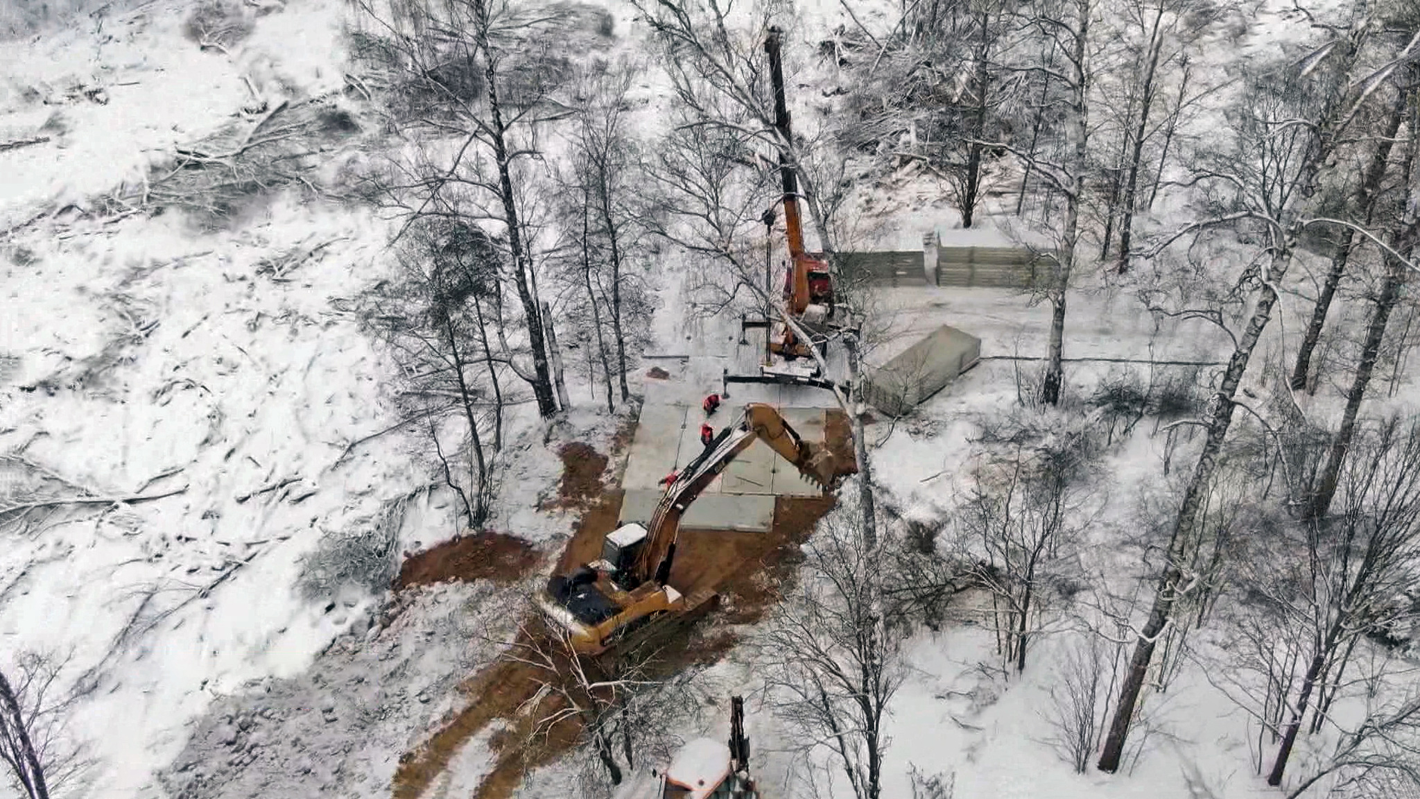 Жители Подмосковья опасаются, что благоустройство превратится в вырубку леса