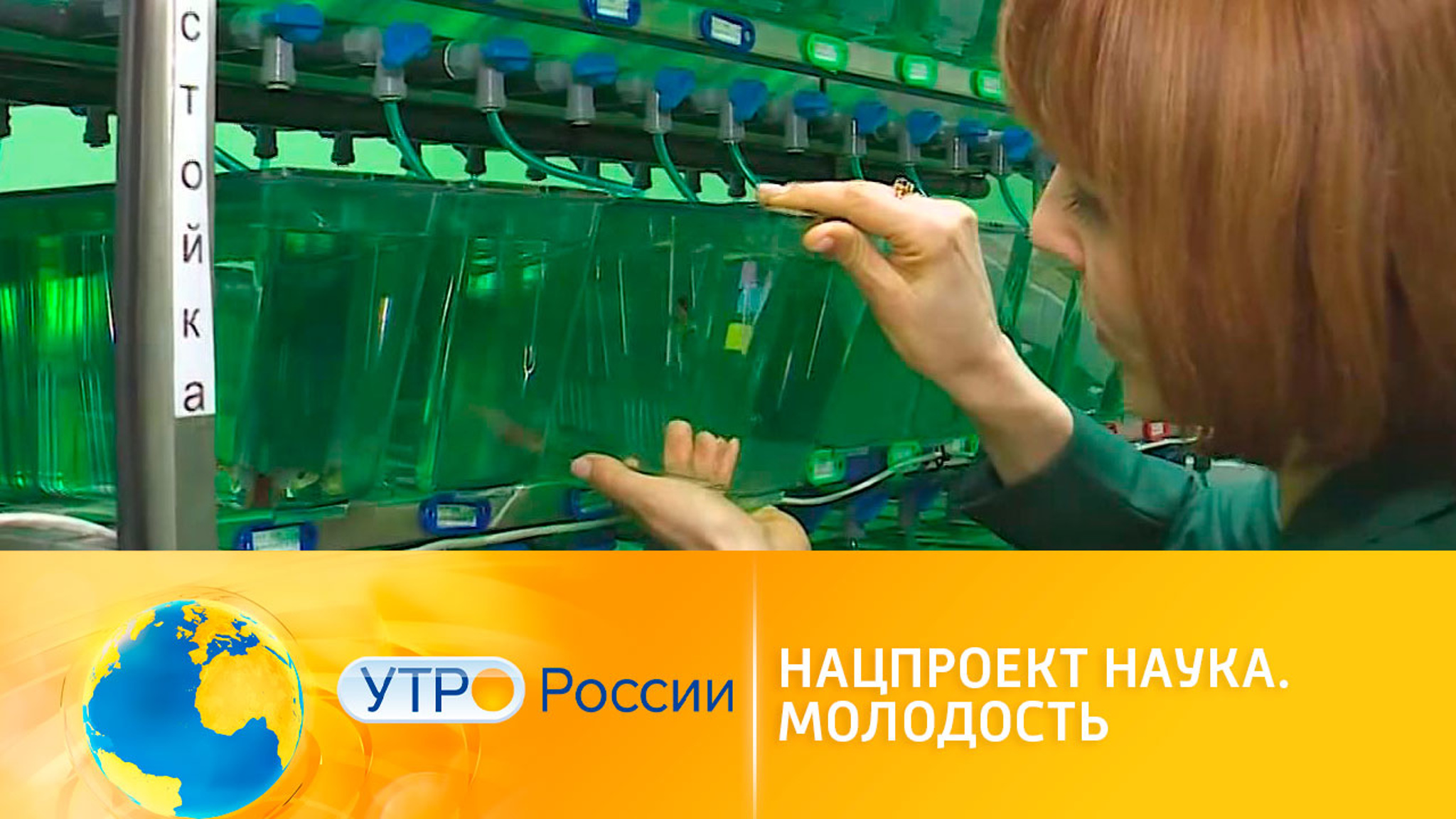Нацпроект "Наука": новые способы сохранить молодость