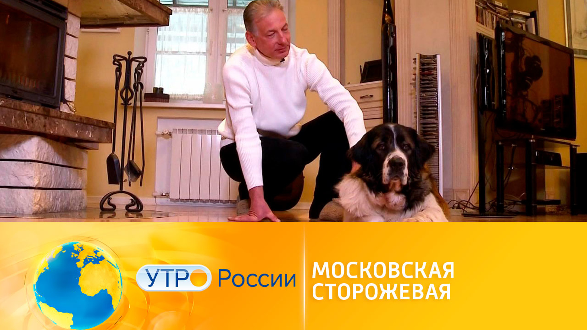 Московская сторожевая: лучшие служебные собаки