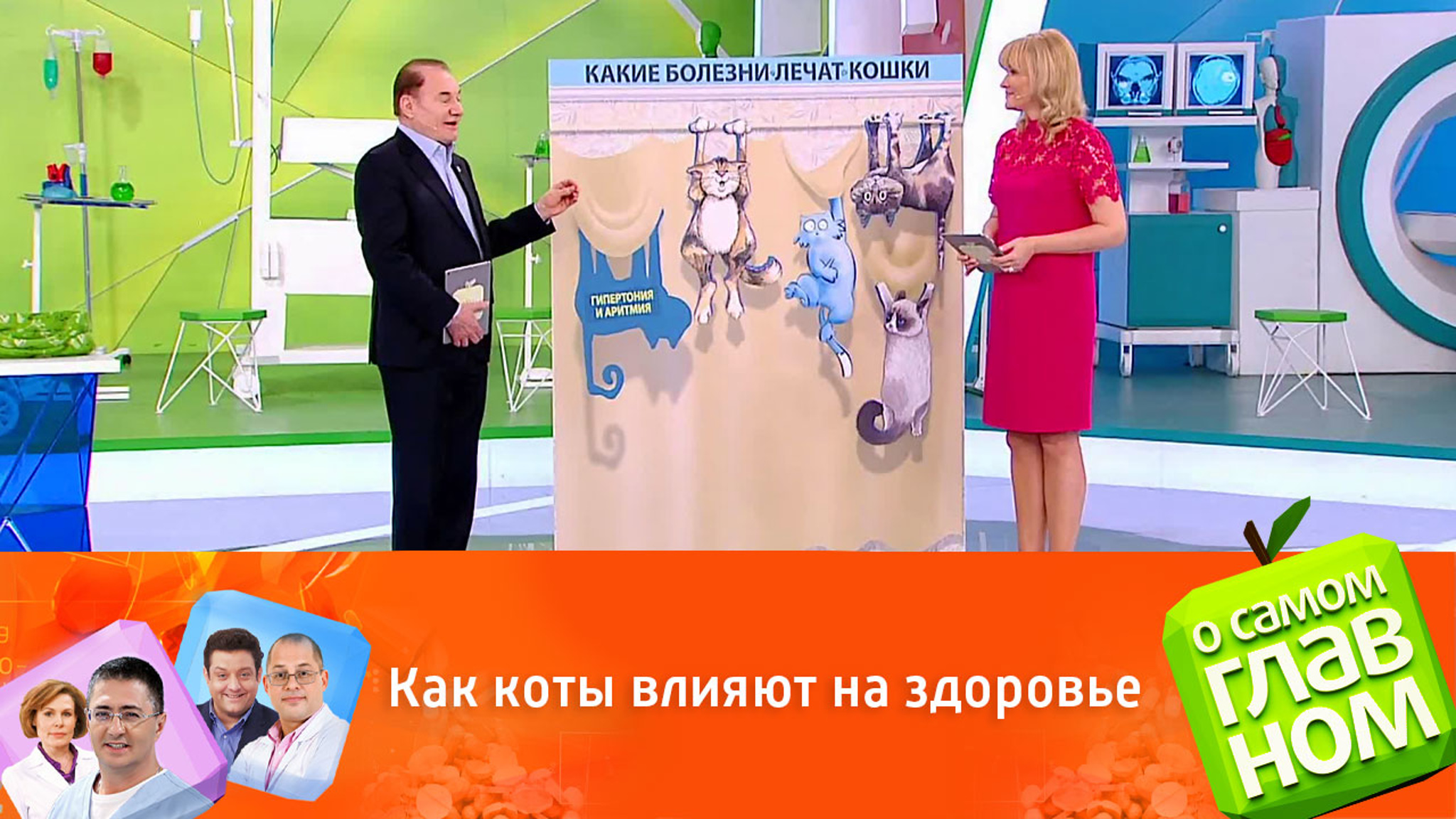 Правда или миф: коты улучшают здоровье владельцев