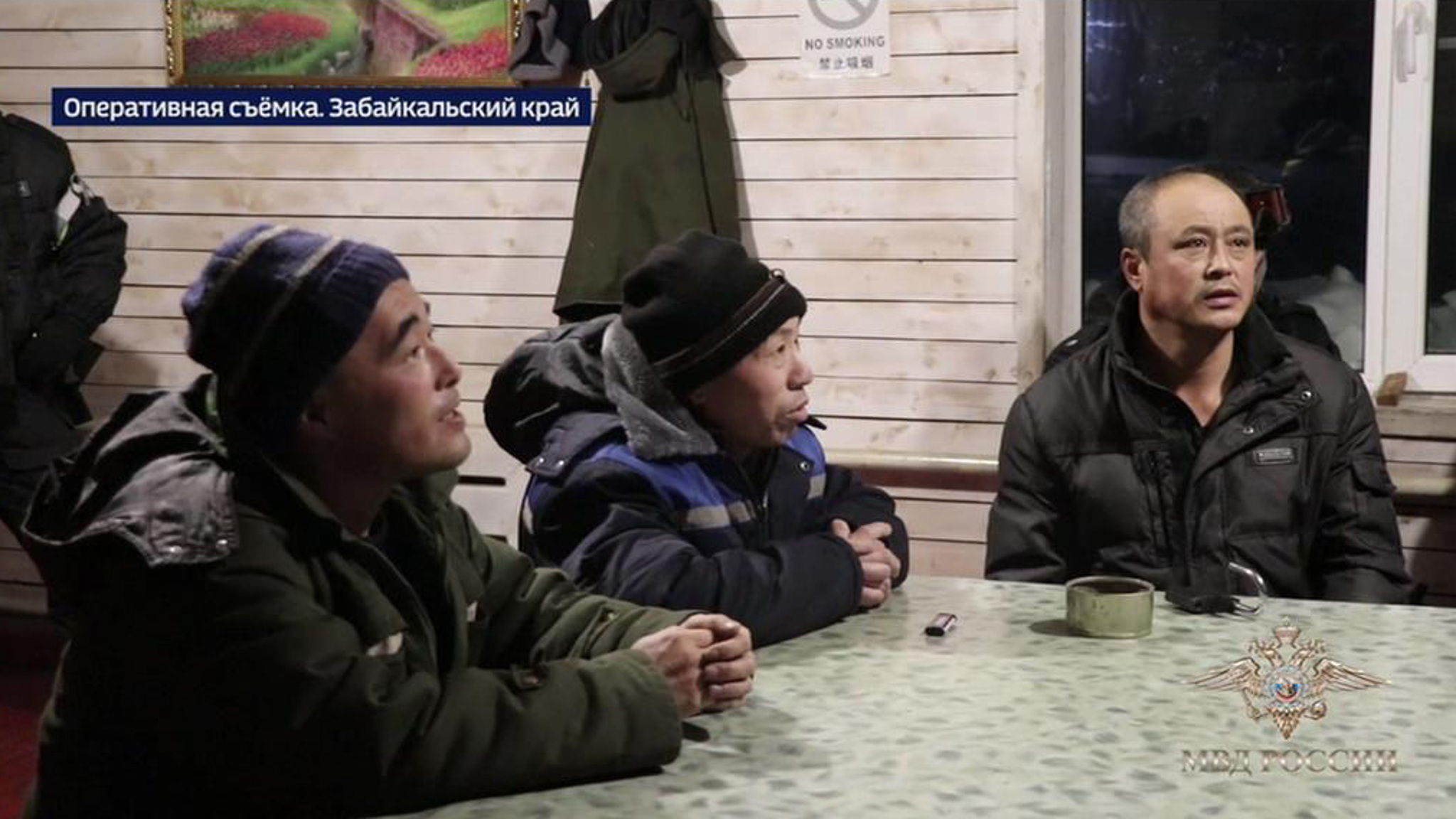 В Забайкалье поймали контрабандистов, поставлявших за границу ценные породы кедра