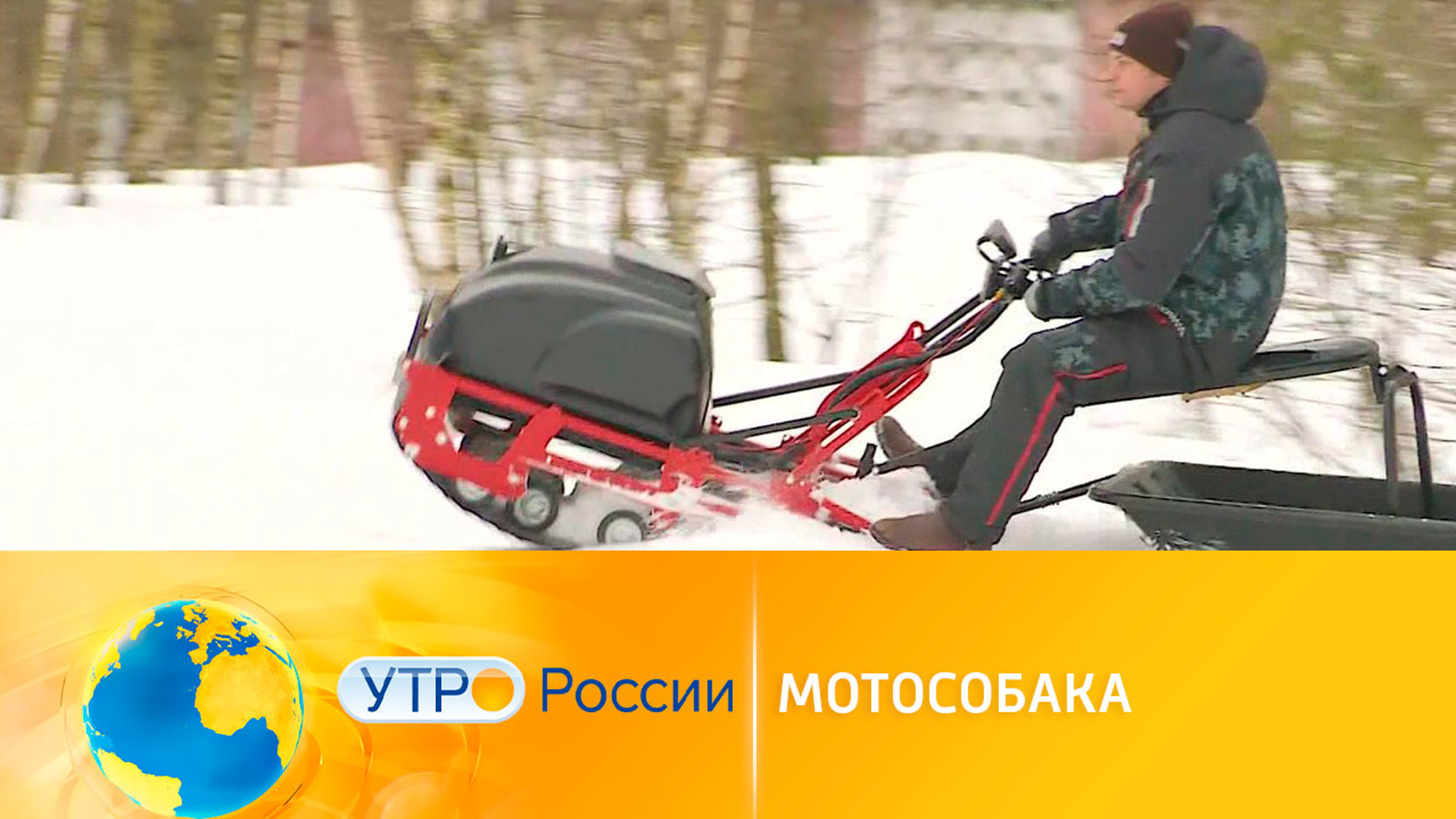 Мотособака: все о необычном средстве передвижения