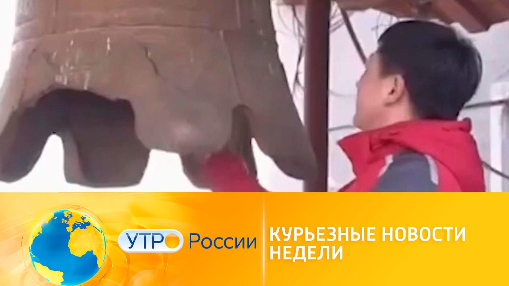 Курьезные новости недели