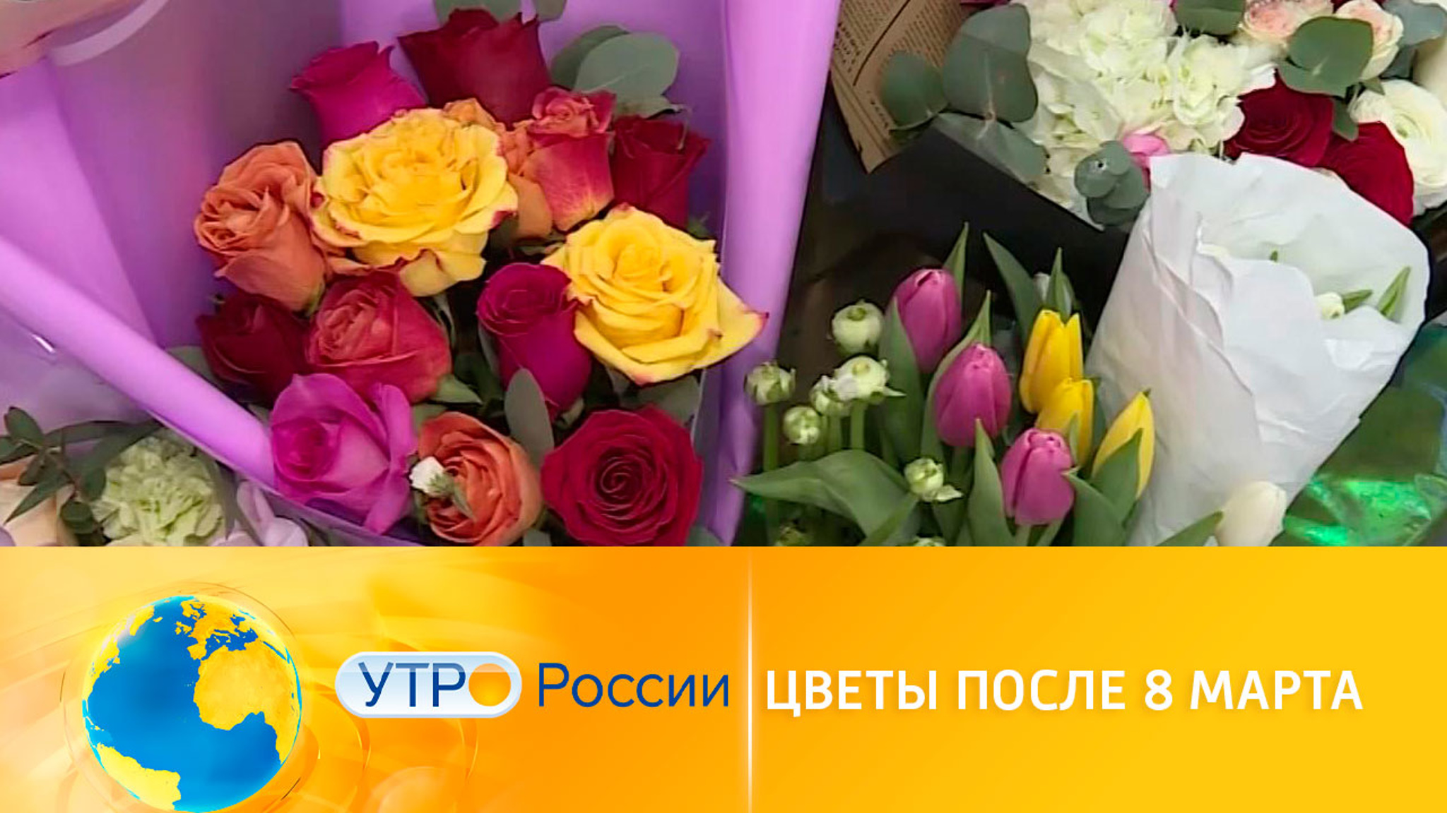На что обратить внимание при покупке цветов