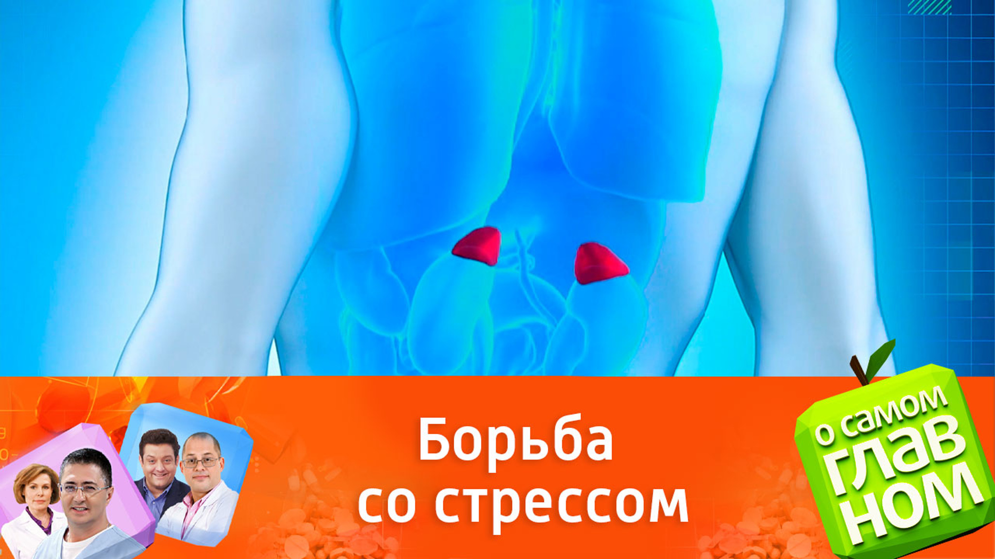 Борьба со стрессом: как наладить работу надпочечников?