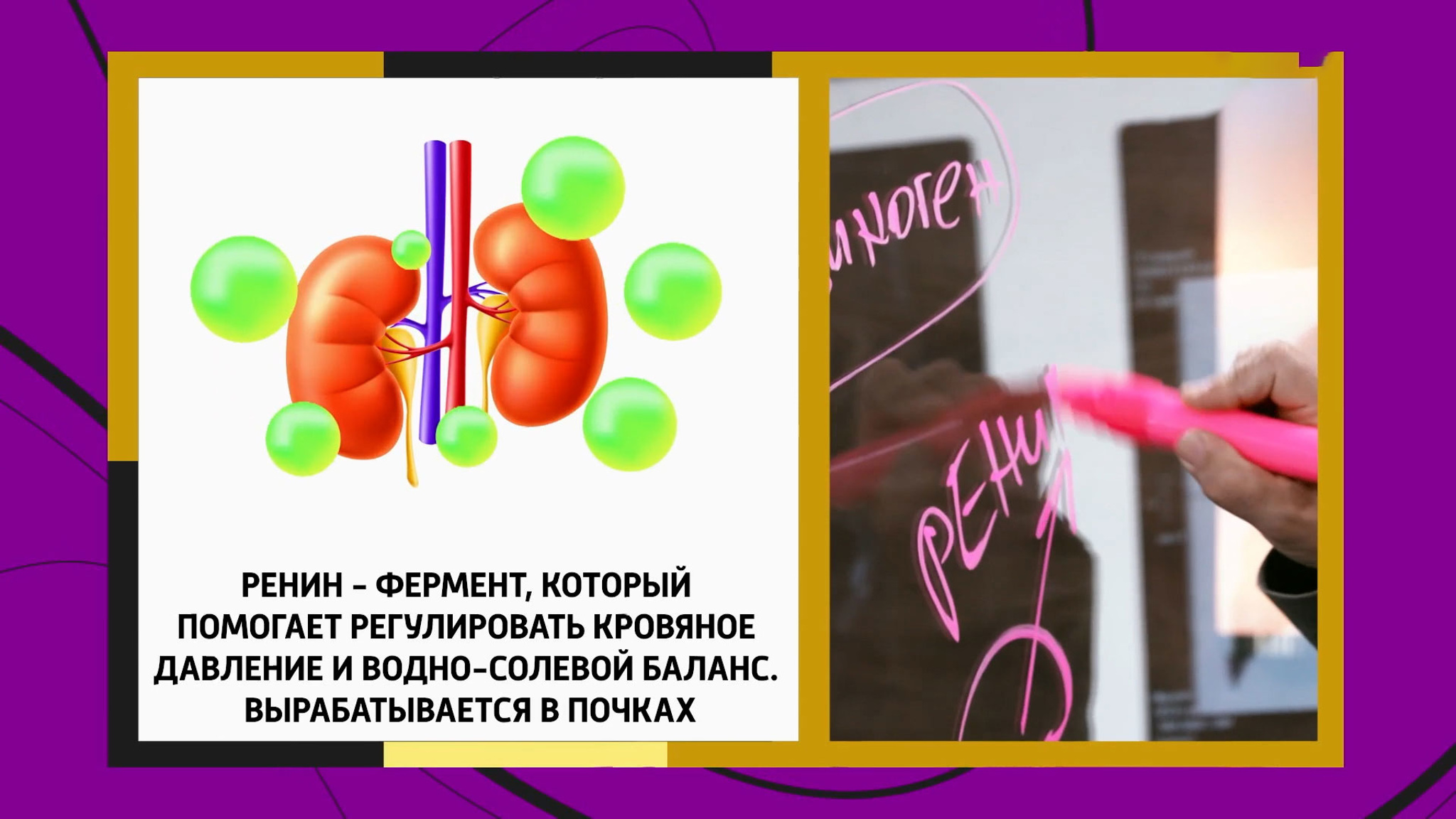 Доктор Мясников объяснил, какой врач должен лечить гипертонию