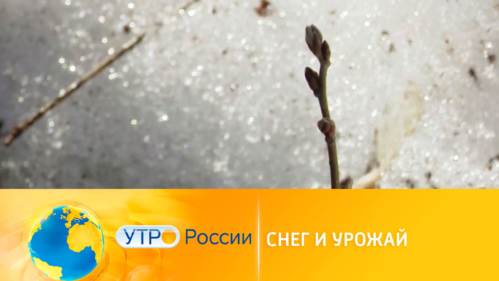 Российских садоводов ждет урожайный сезон