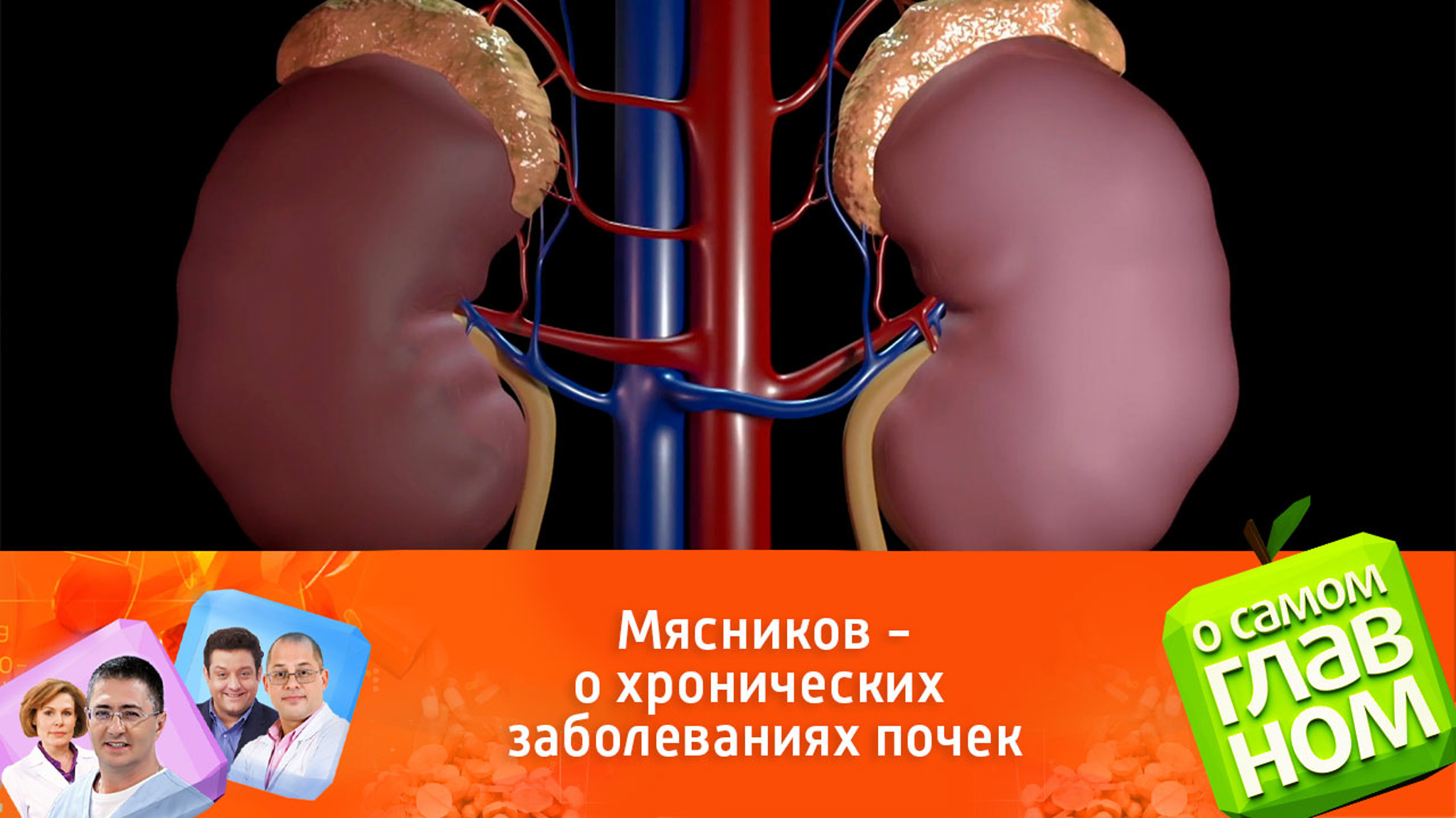 Эпидемия хронических заболеваний почек: Мясников назвал группы риска