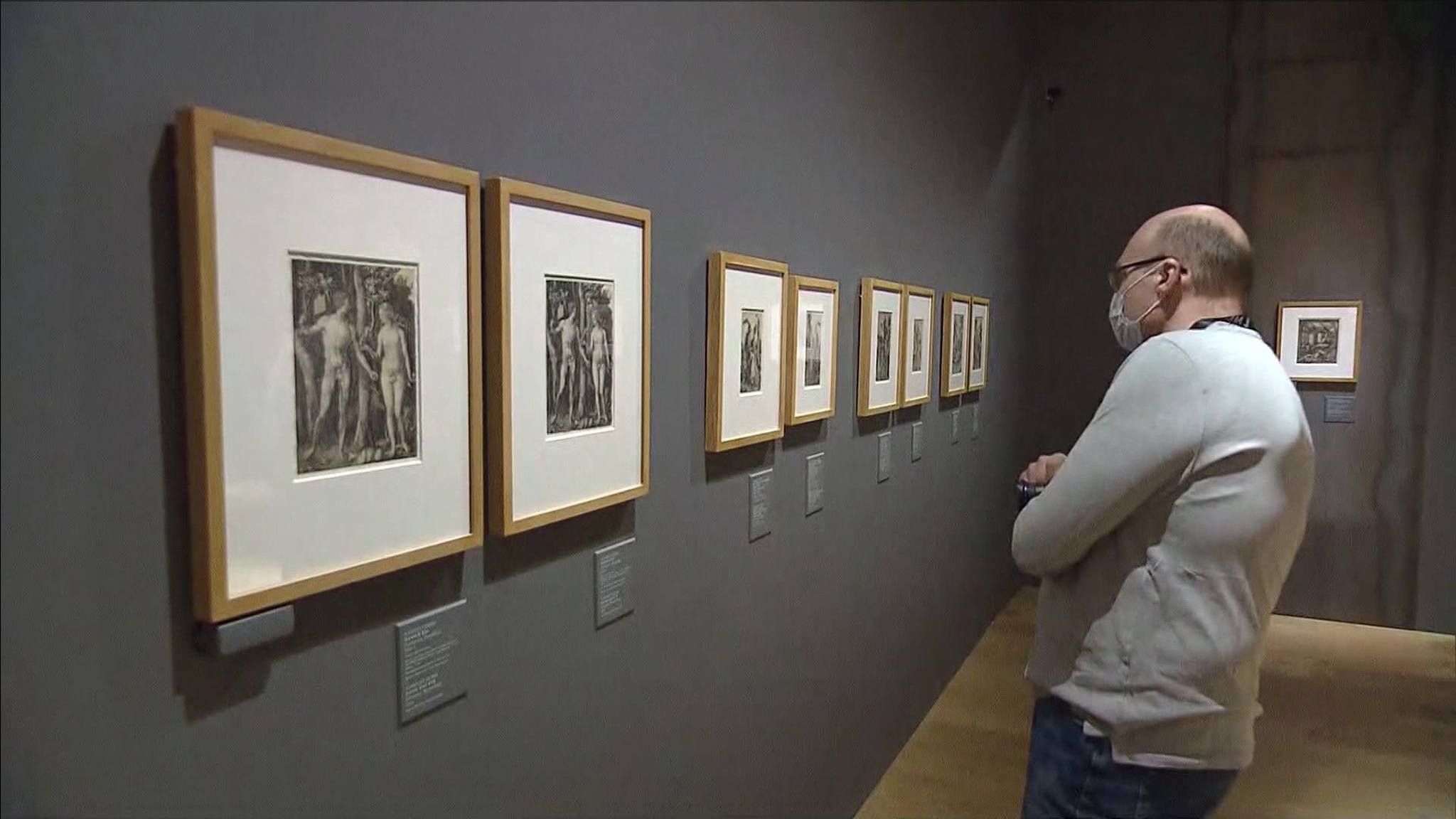Редкие гравюры Альбрехта Дюрера покажут в Историческом музее