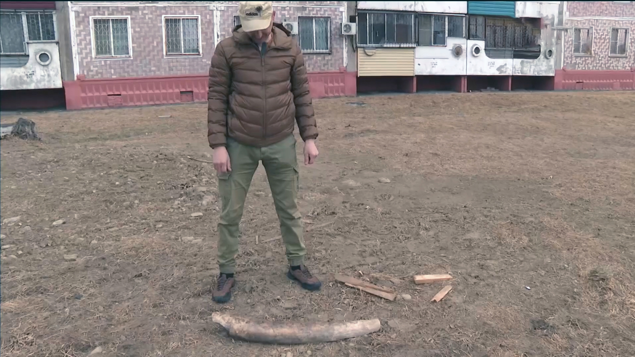 Житель Комсомольска-на-Амуре нашел бивень мамонта во время прогулки с собакой
