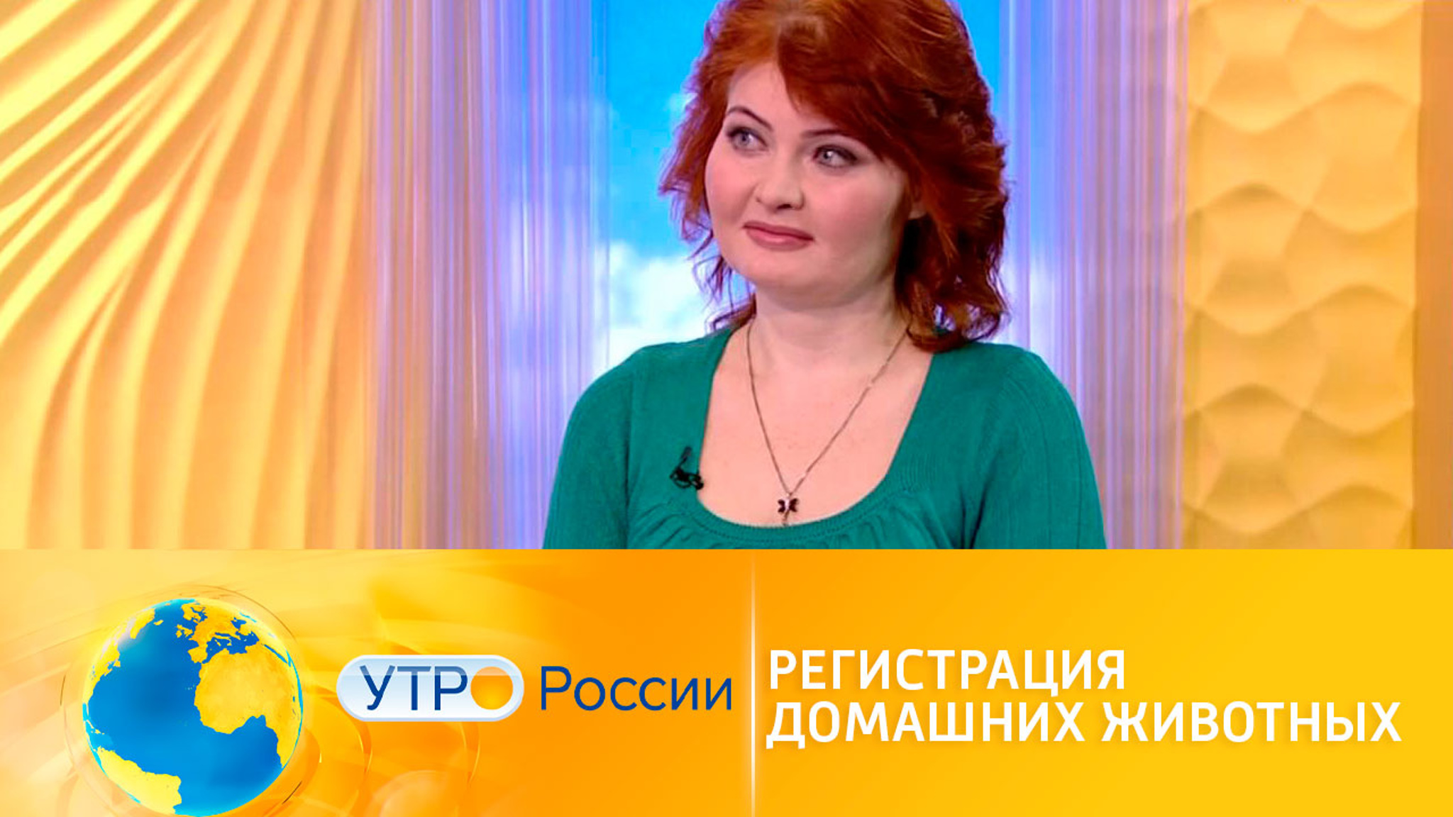 Регистрация домашних животных: возможно ли ее реализовать в России
