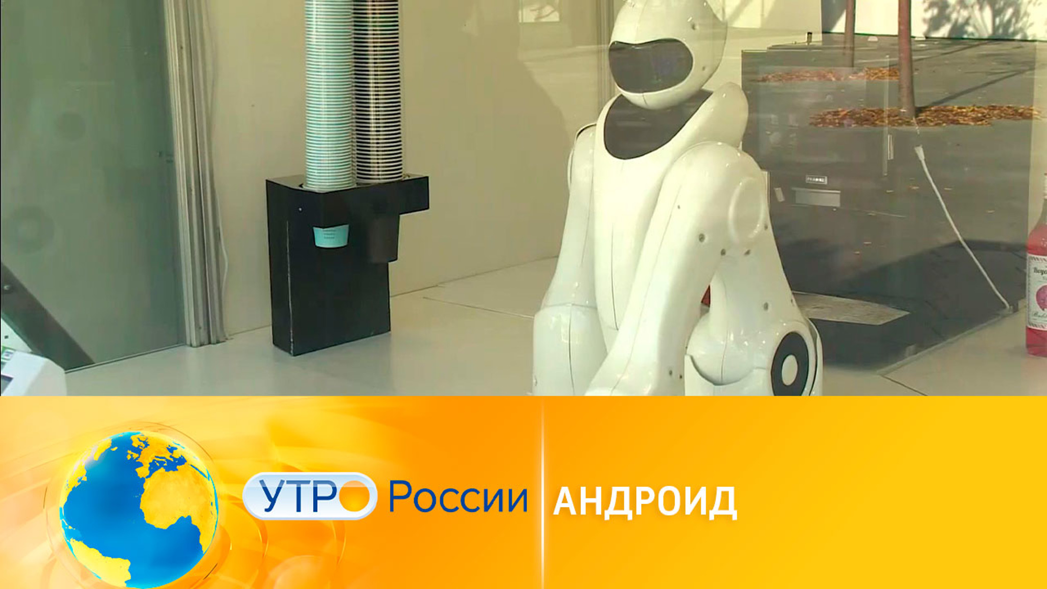 Робот Адам: любопытное изобретение инженера из Владивостока