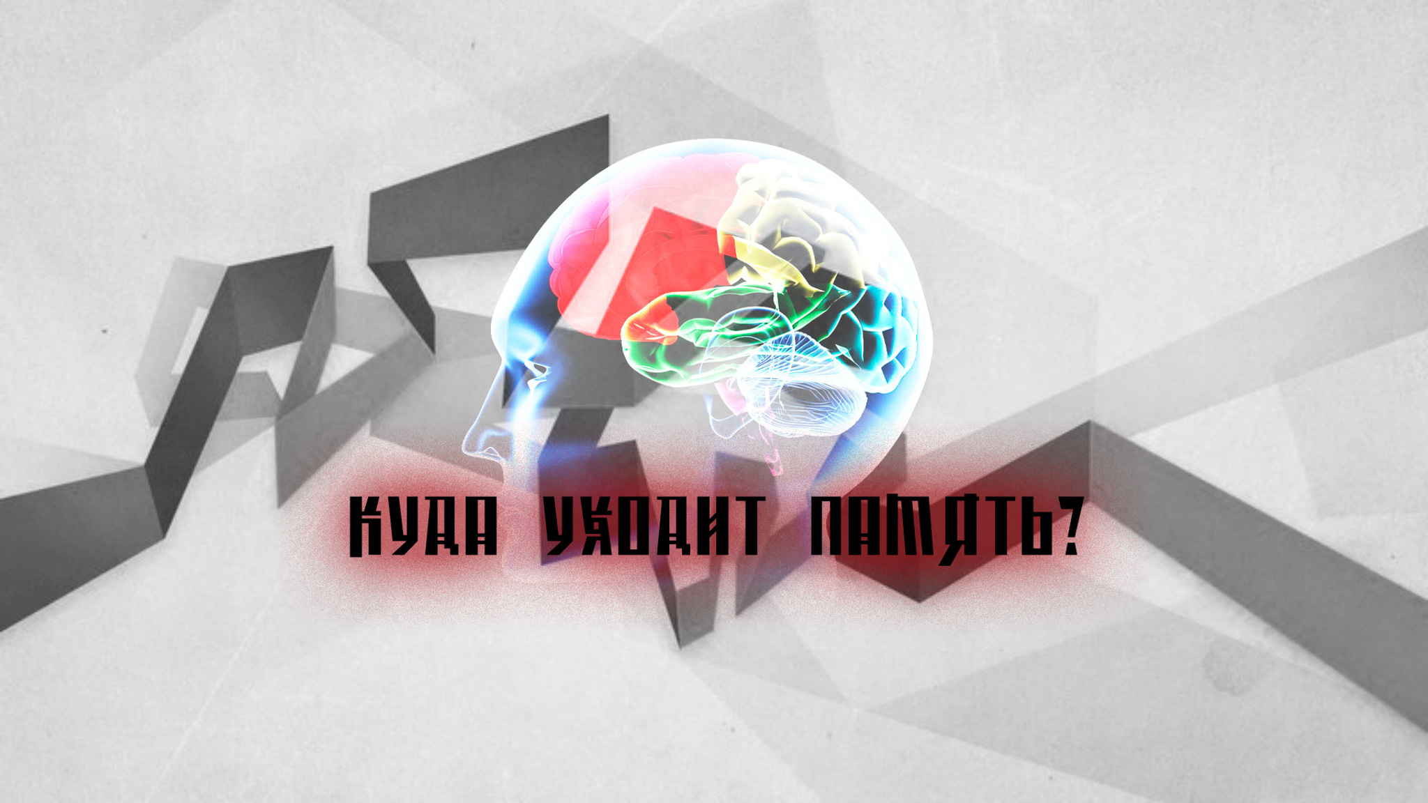 Куда уходит память?