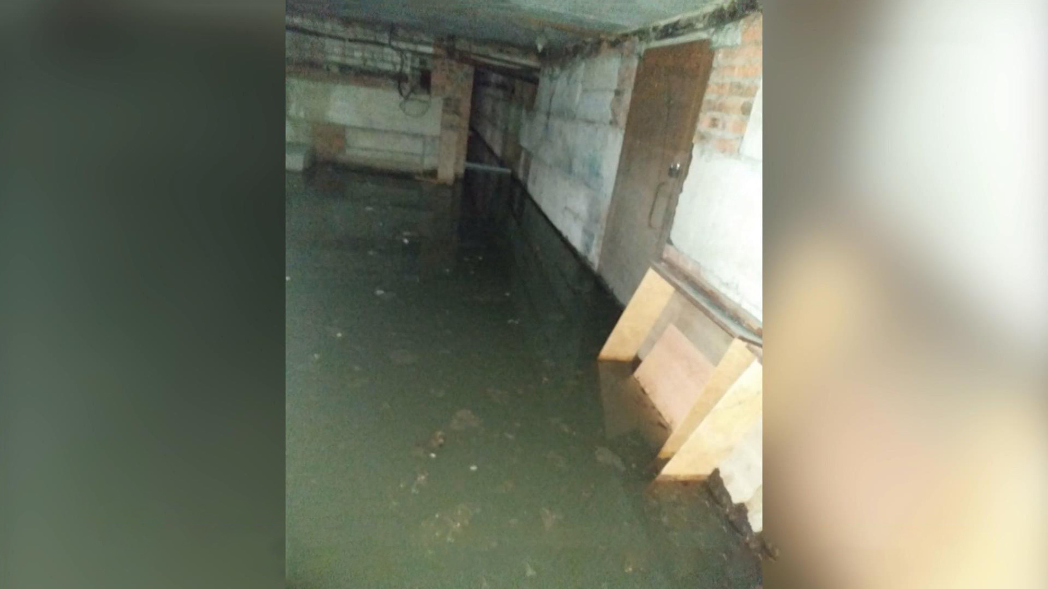 В Подмосковье люди неделю живут в затопленном нечистотами доме
