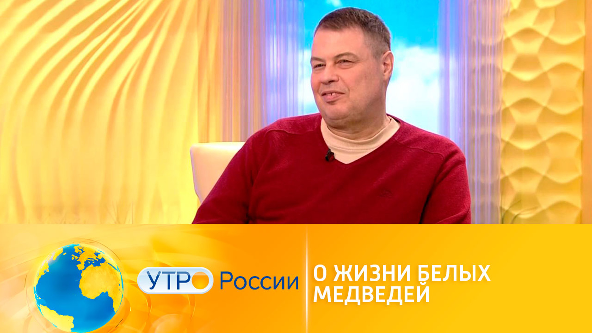 Белый медведь – живой символ Арктики