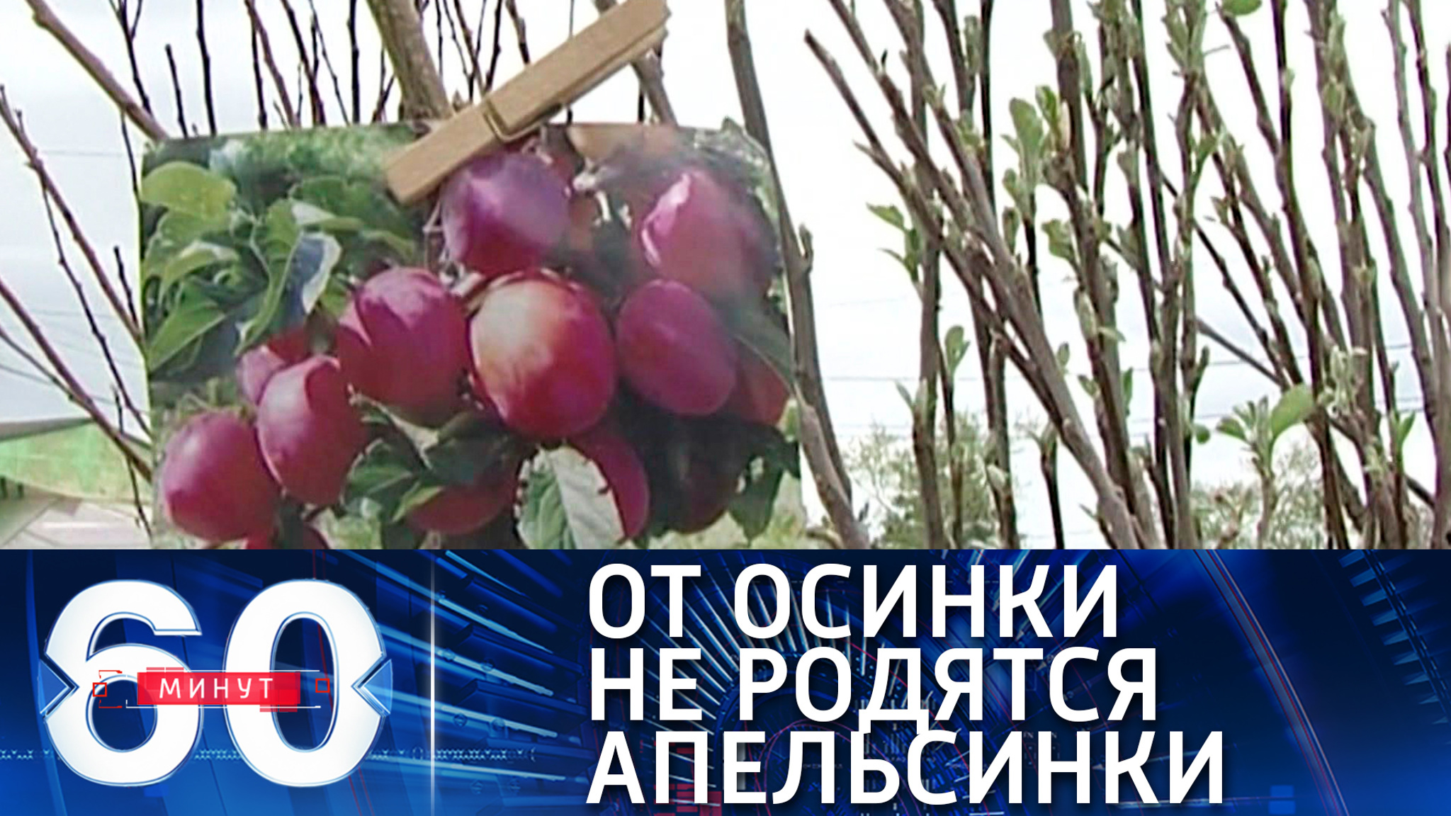 Садоводам нужна осторожность: мошенники открыли свой дачный сезон