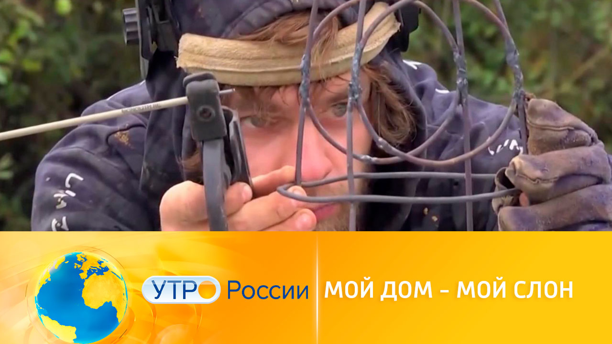 Мой дом – мой слон: рекомендации умельцев