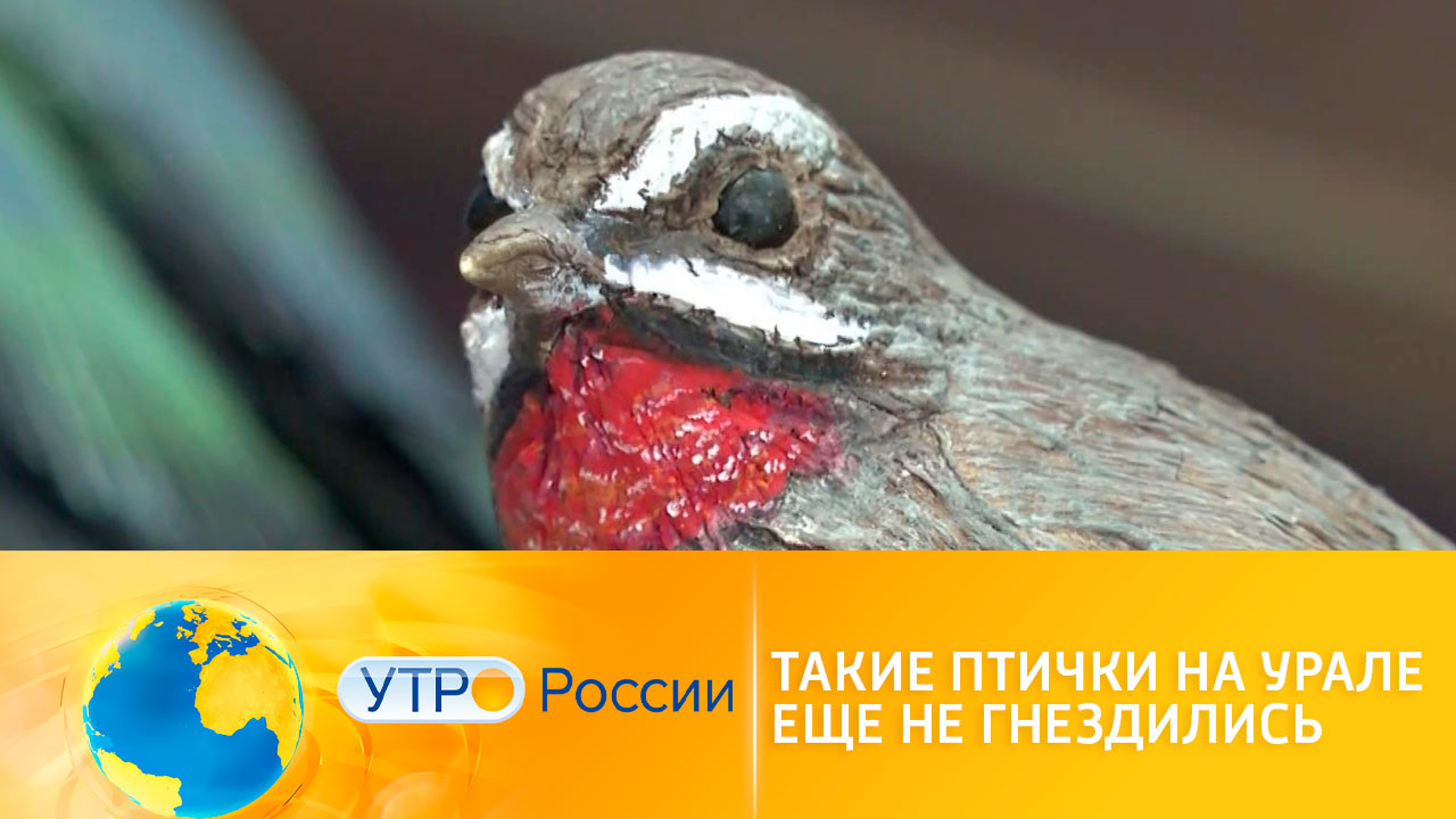 На Урале поселились 3D птицы из Красной книги