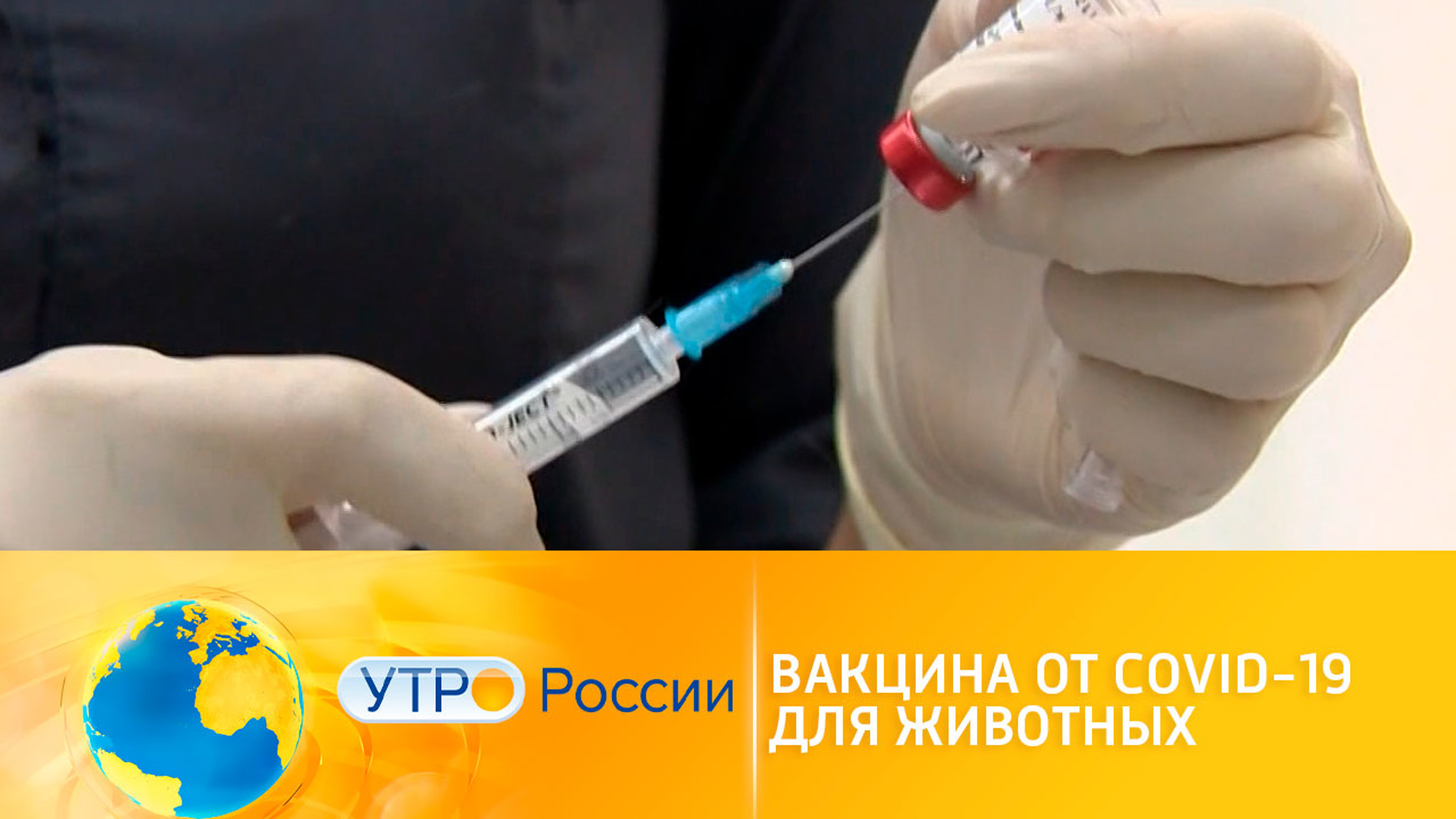 В России зарегистрирована вакцина от COVID-19 для животных