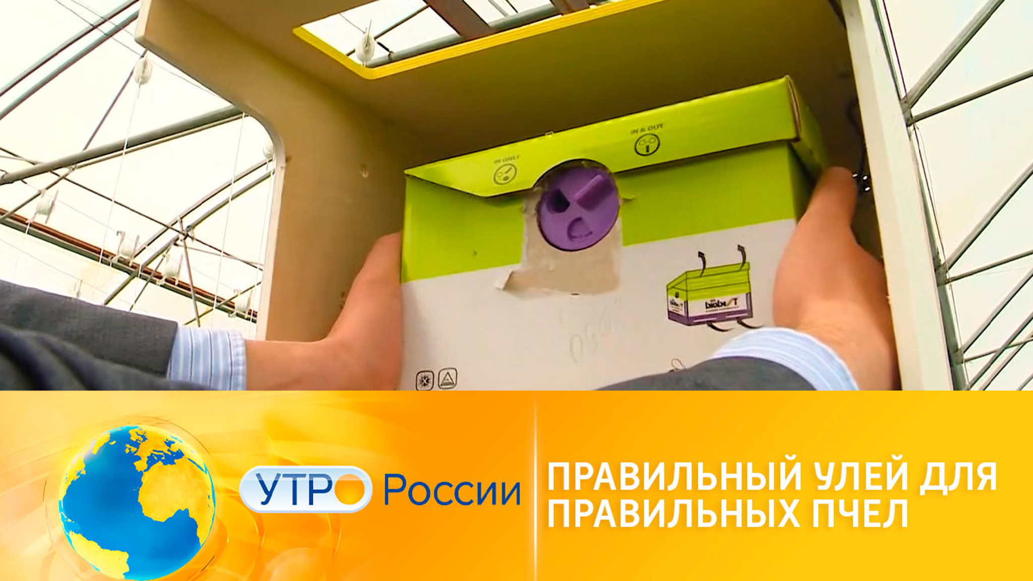 Интеллектуальные пасеки от российских ученых