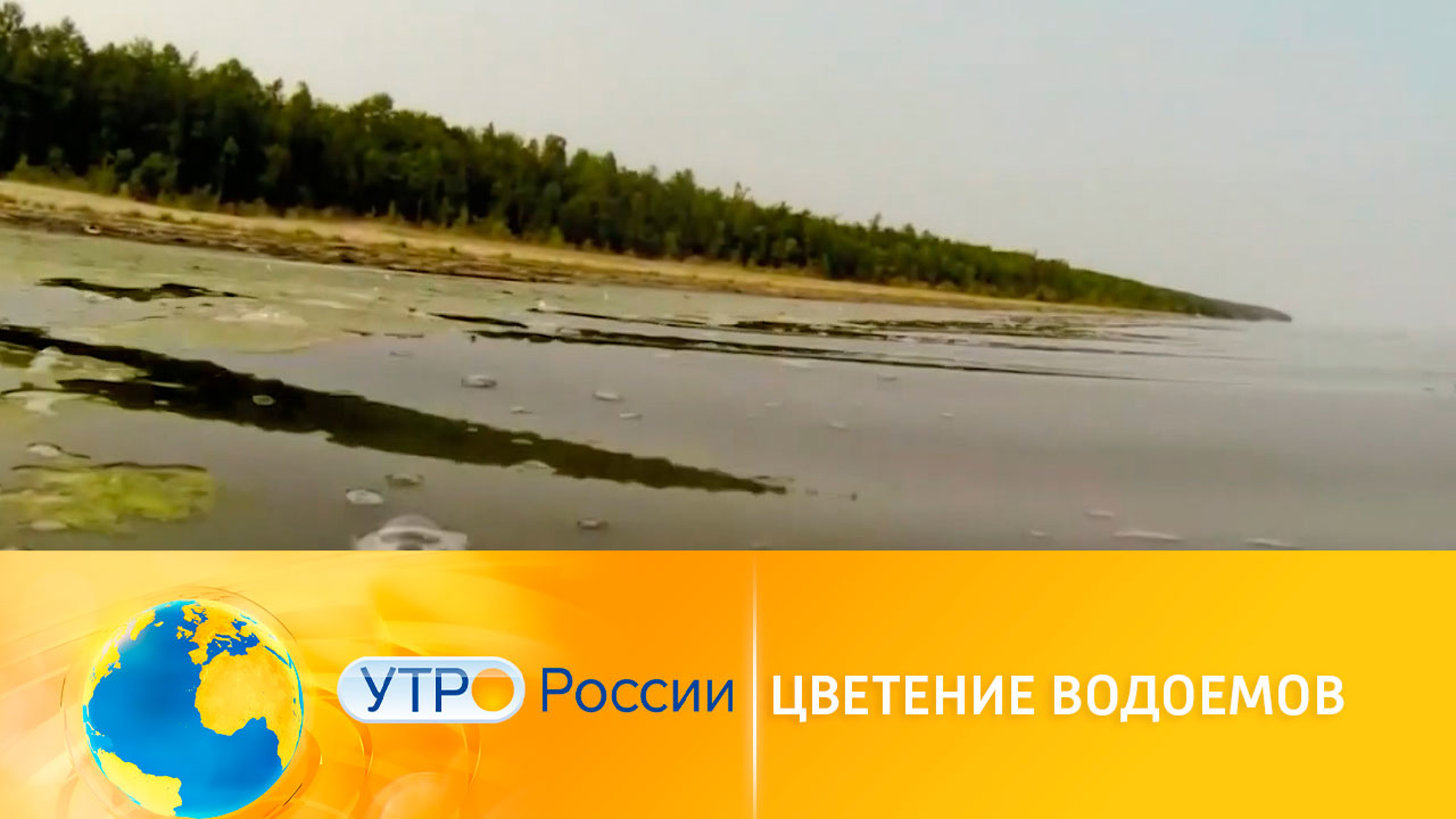 Почему водоемы в мире стали чаще цвести