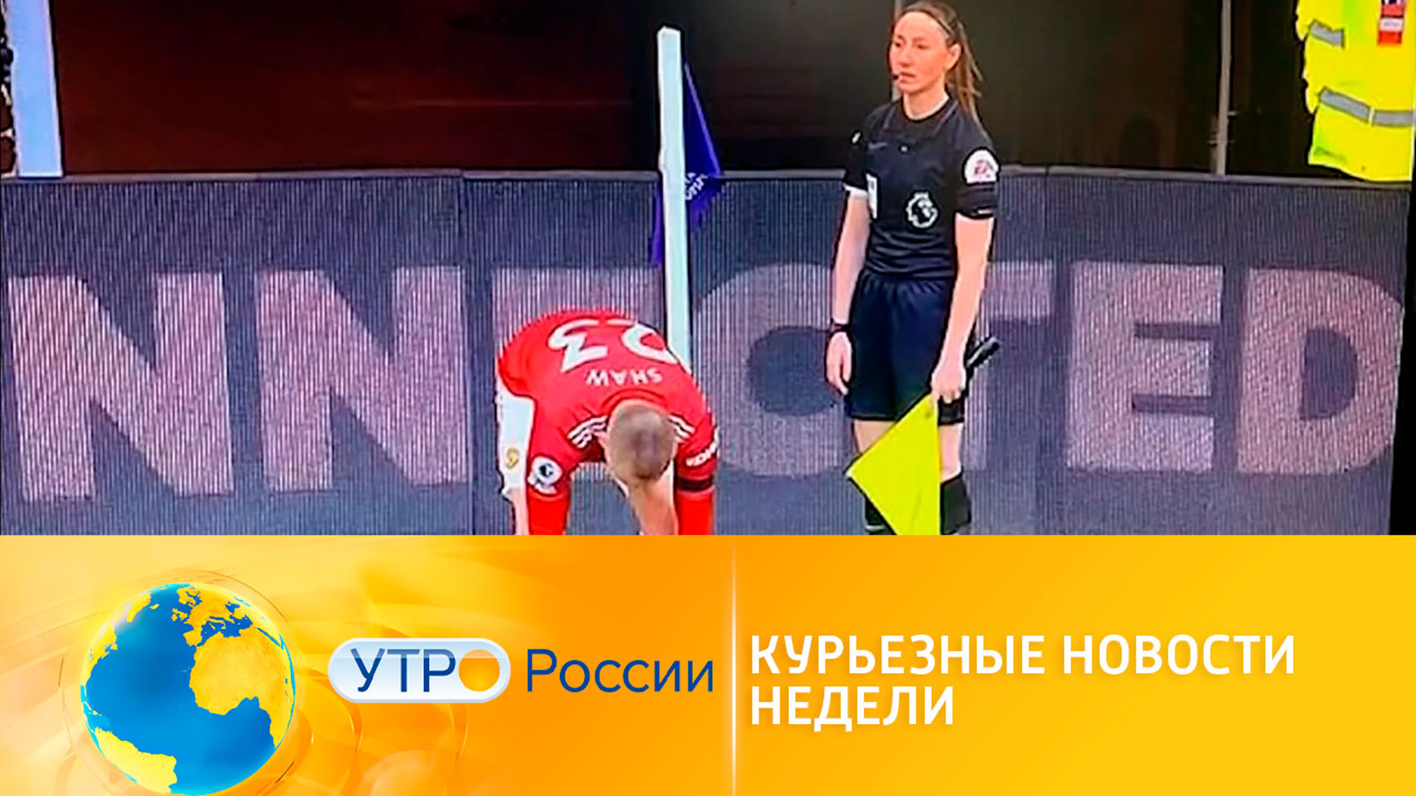 Курьезные новости недели