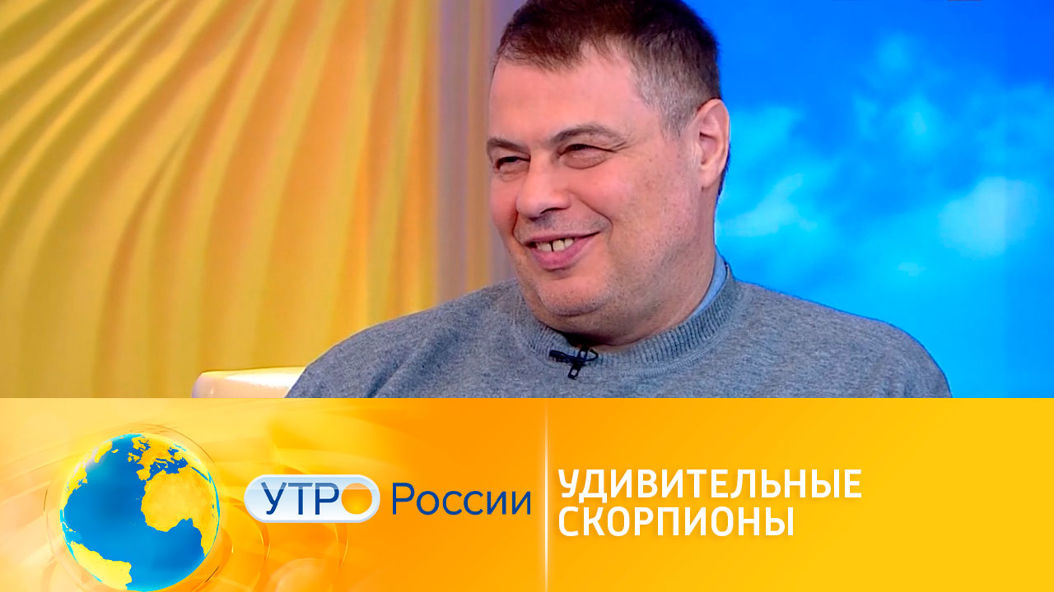 В астраханских степях обнаружили редких скорпионов