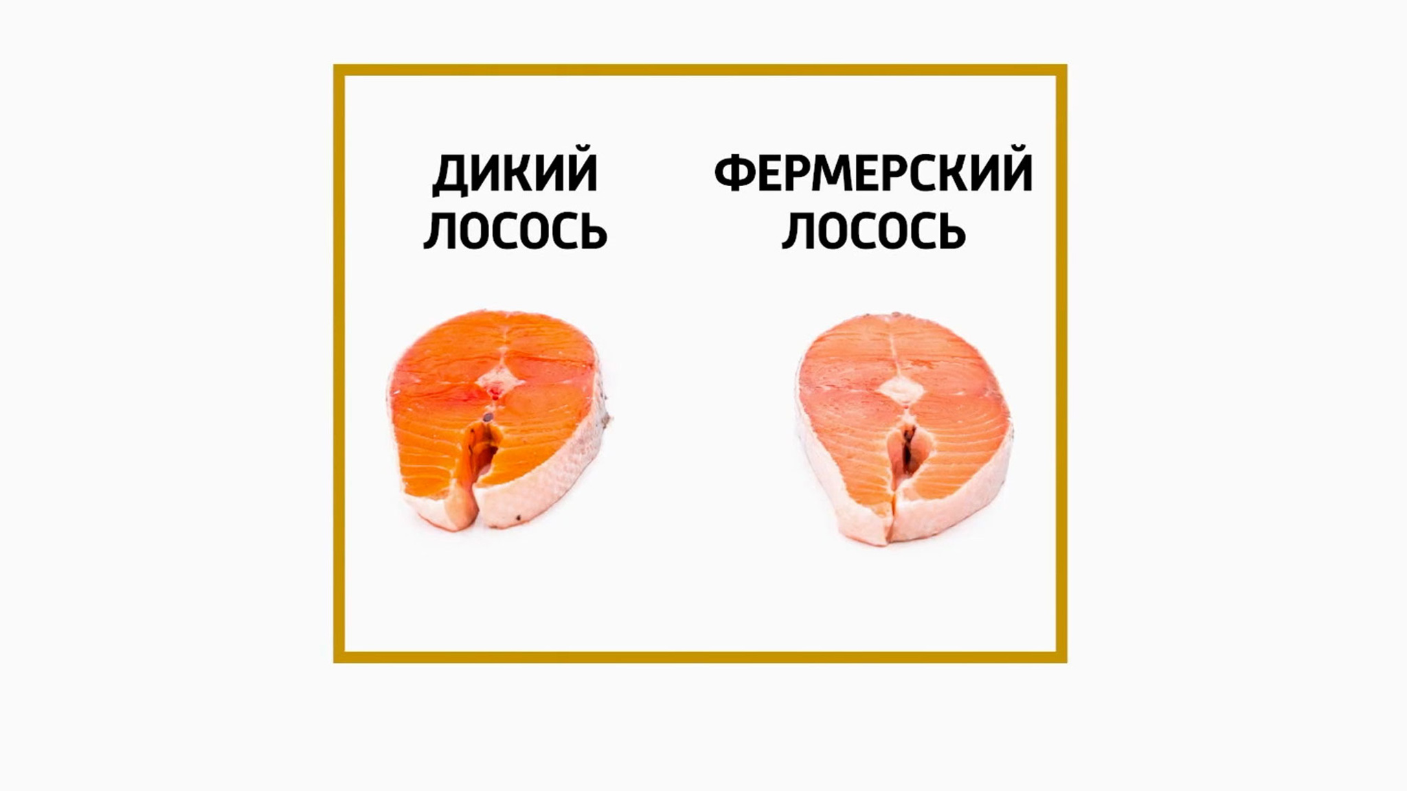 Мясников: омега-3 поможет в борьбе с последствиями коронавируса