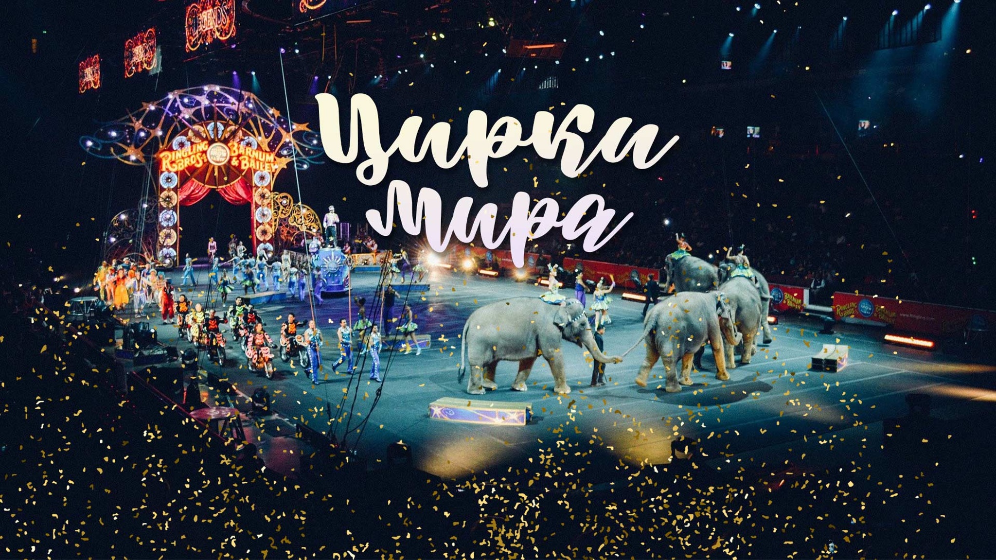 Цирки мира